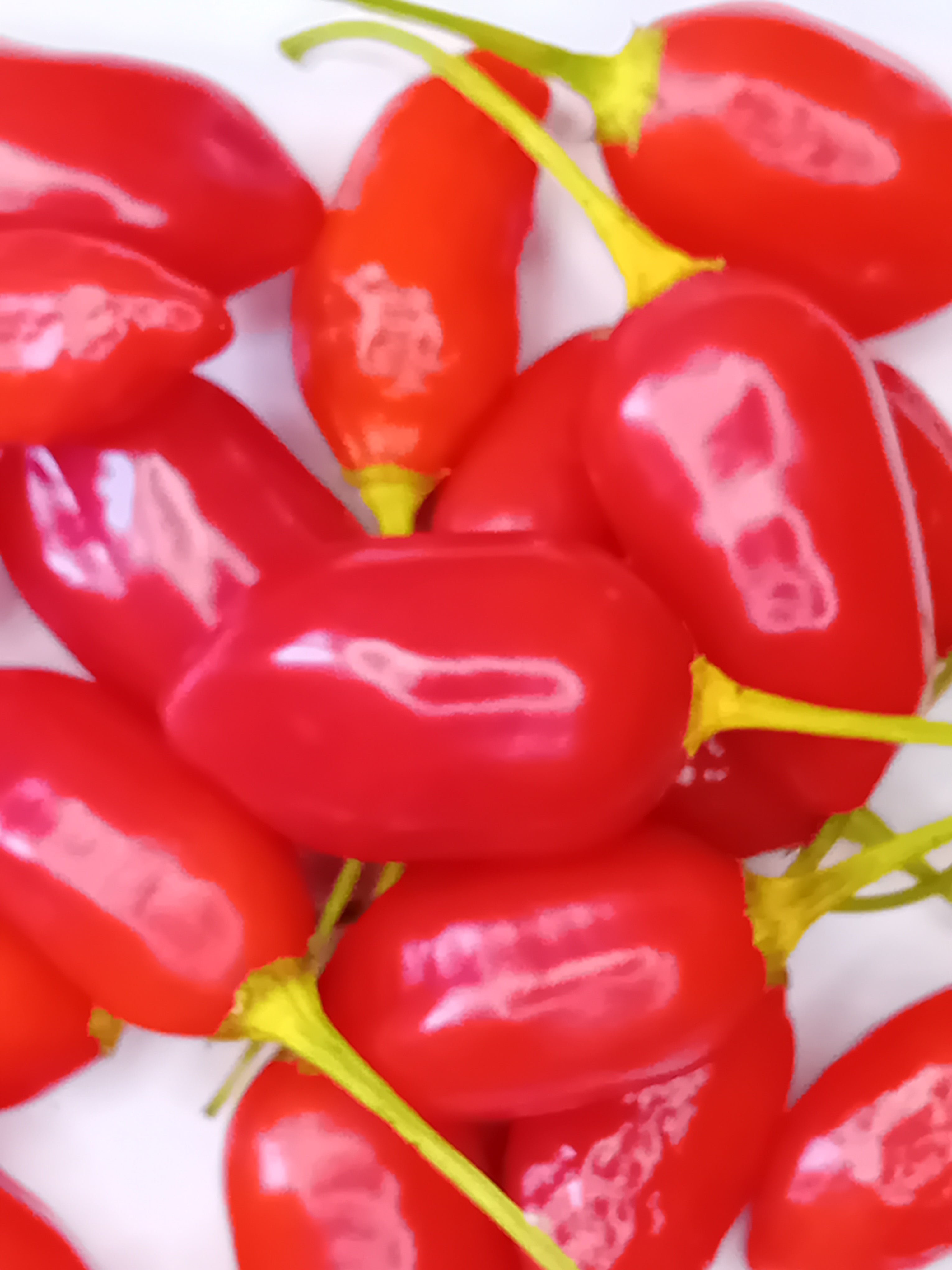 Răsad Ardei - Brazilian Red Olive