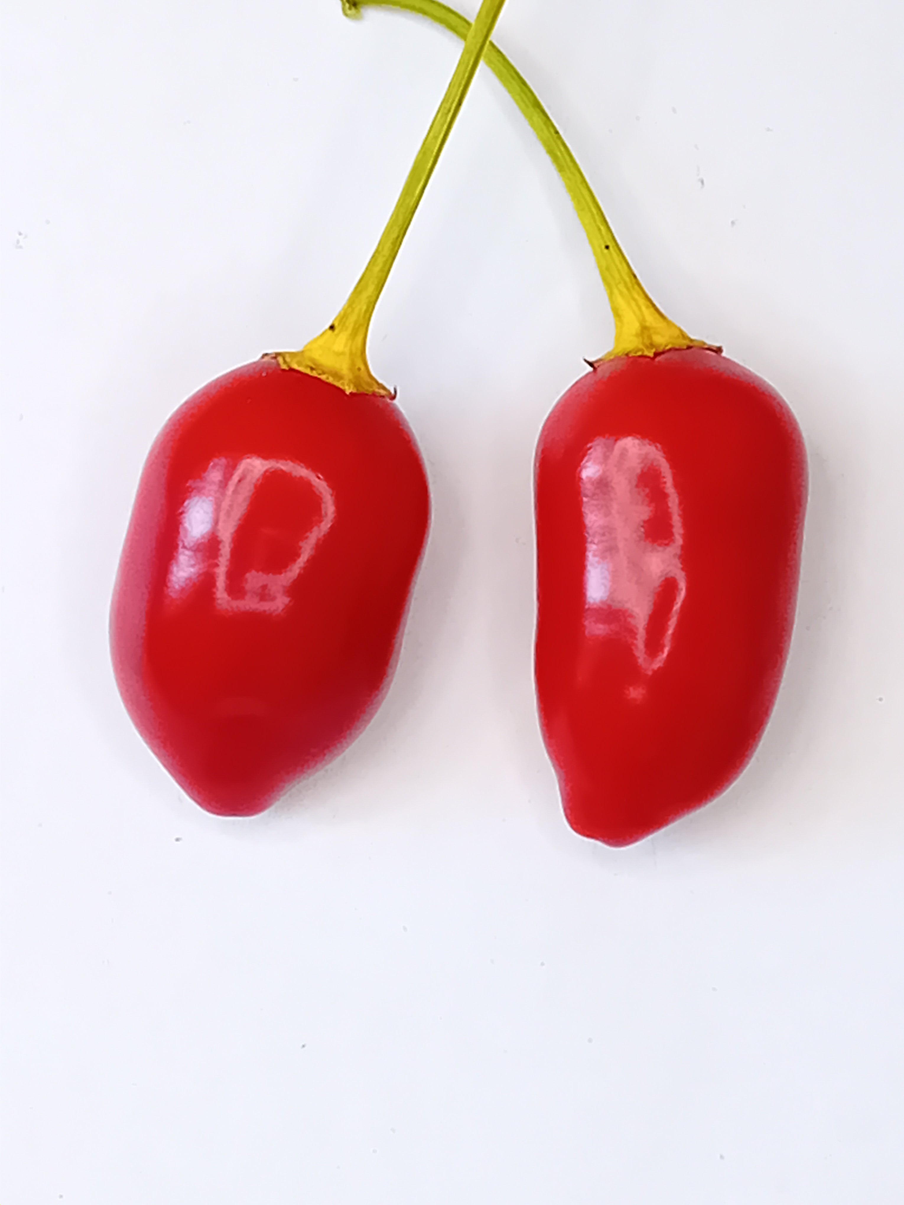 Răsad Ardei - Brazilian Red Olive