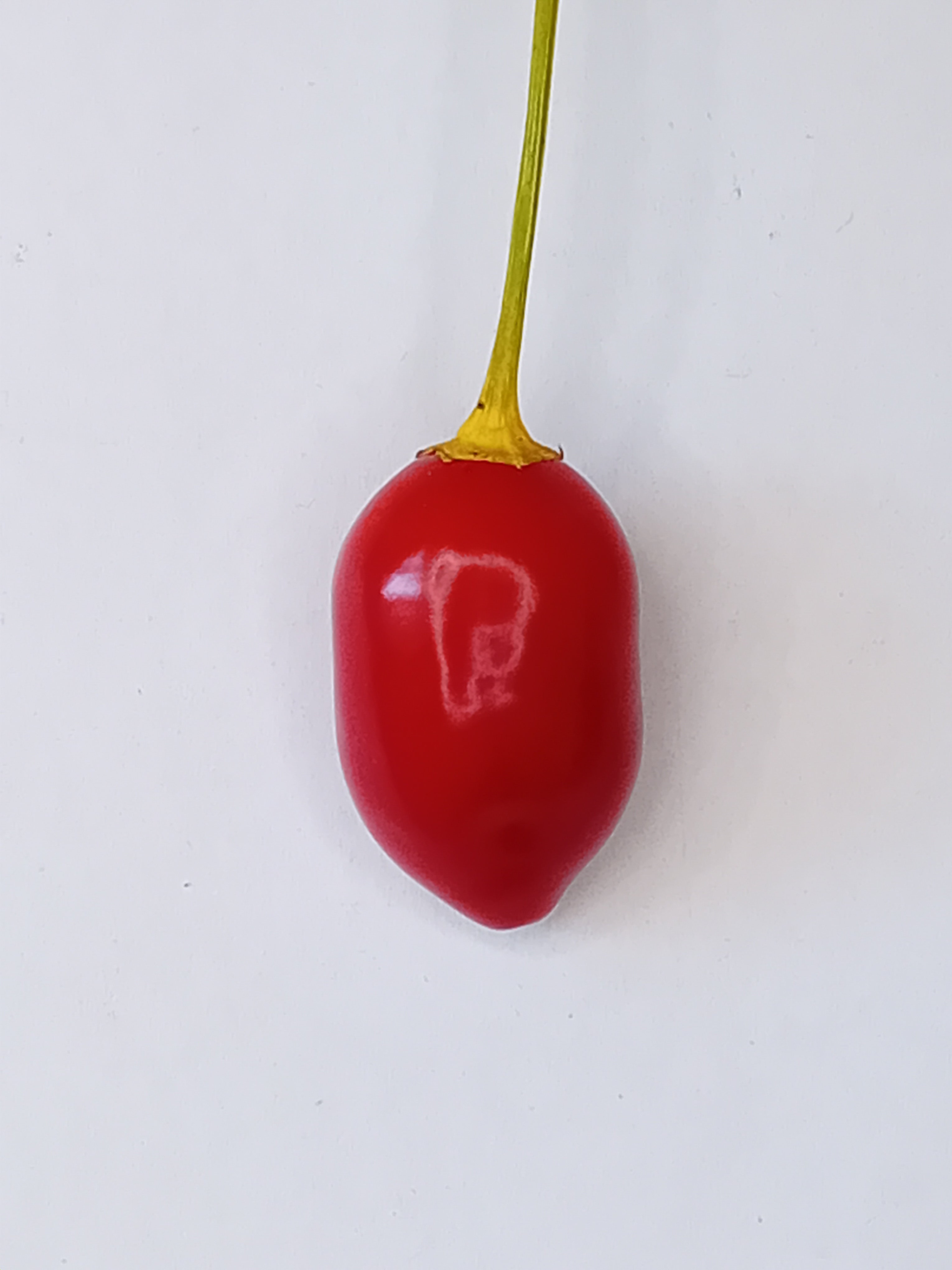 Răsad Ardei - Brazilian Red Olive