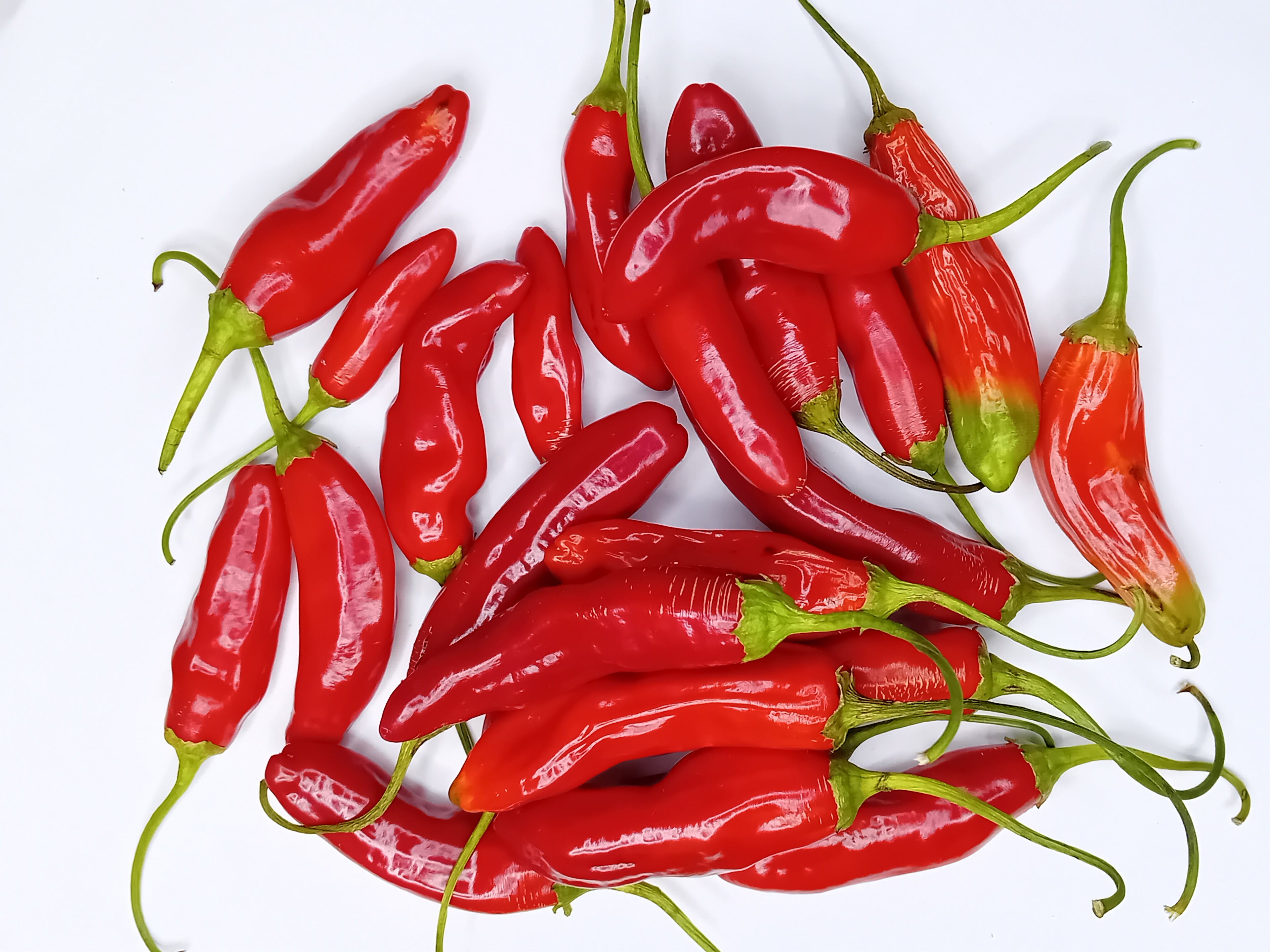 Răsad Ardei - Aji Crujiente