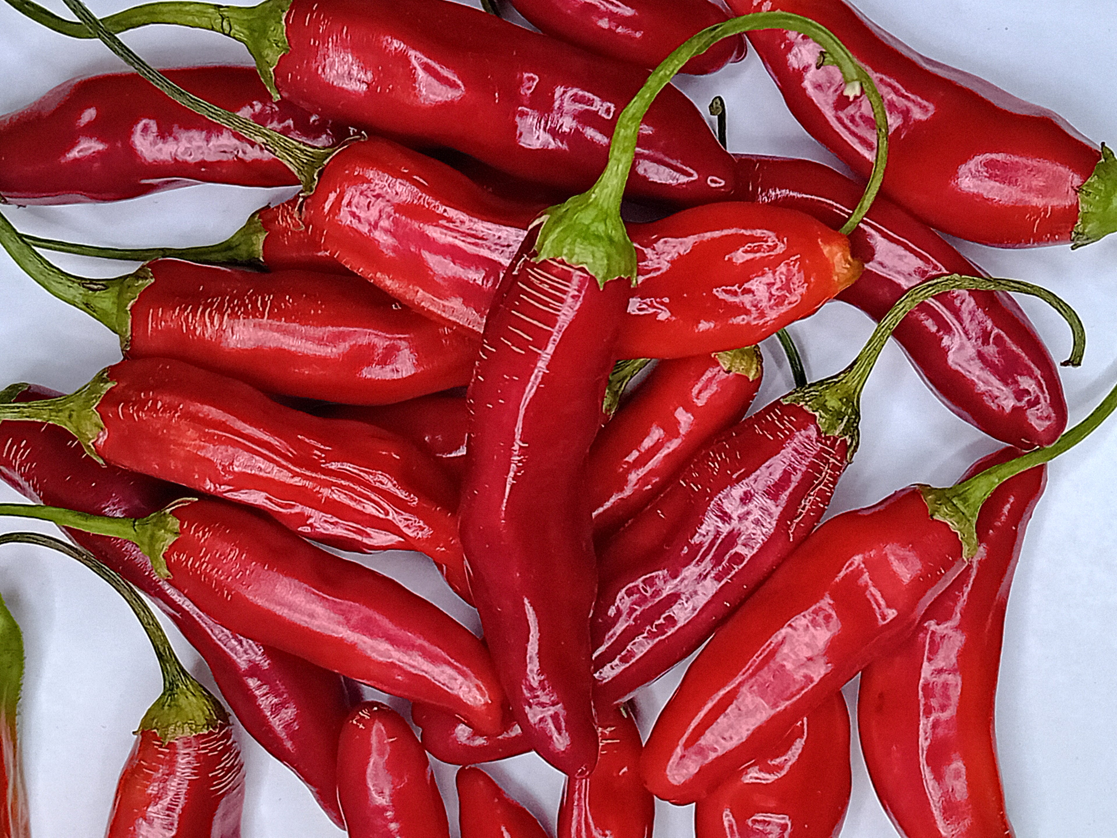 Răsad Ardei - Aji Crujiente