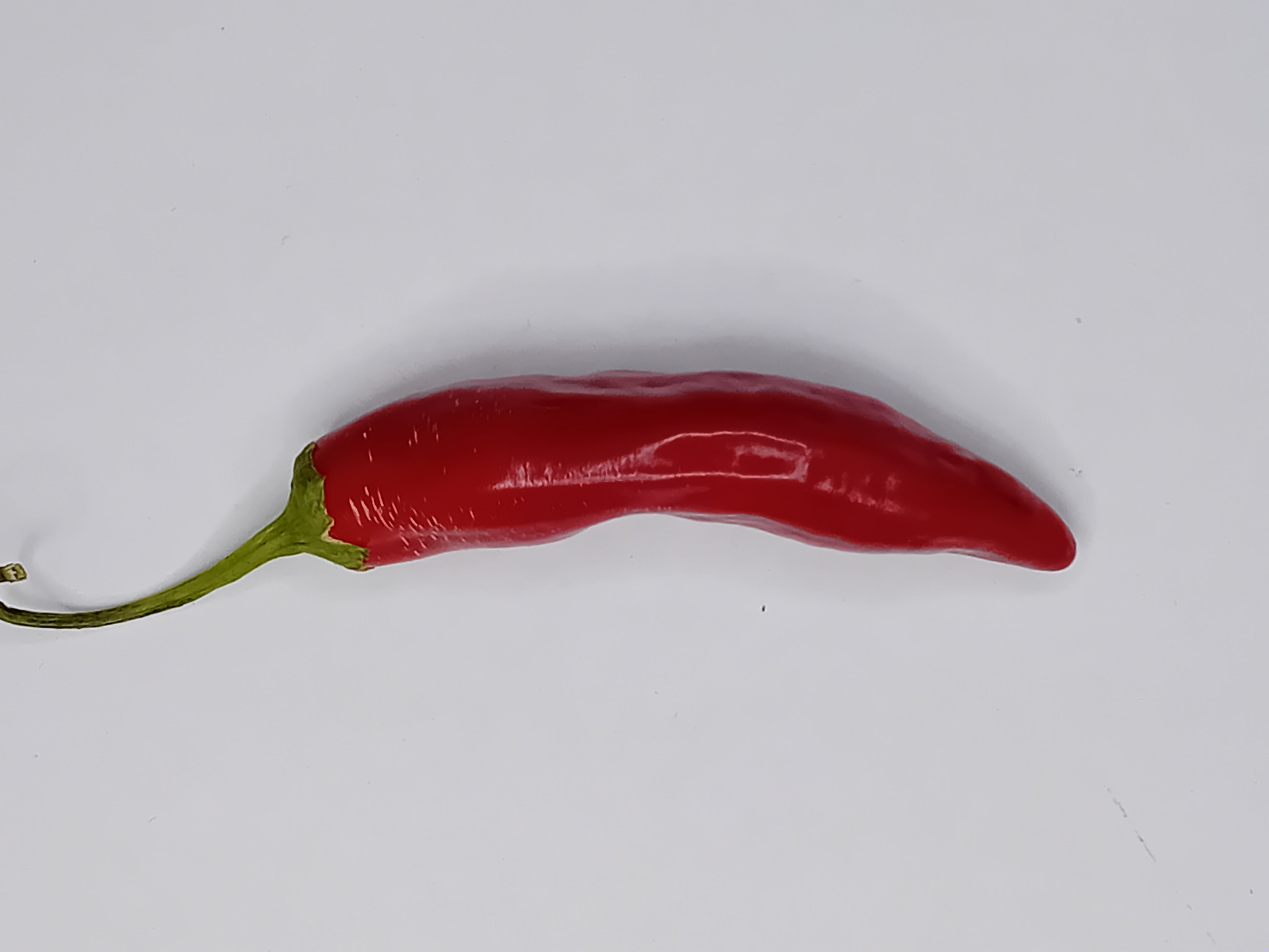 Răsad Ardei - Aji Crujiente