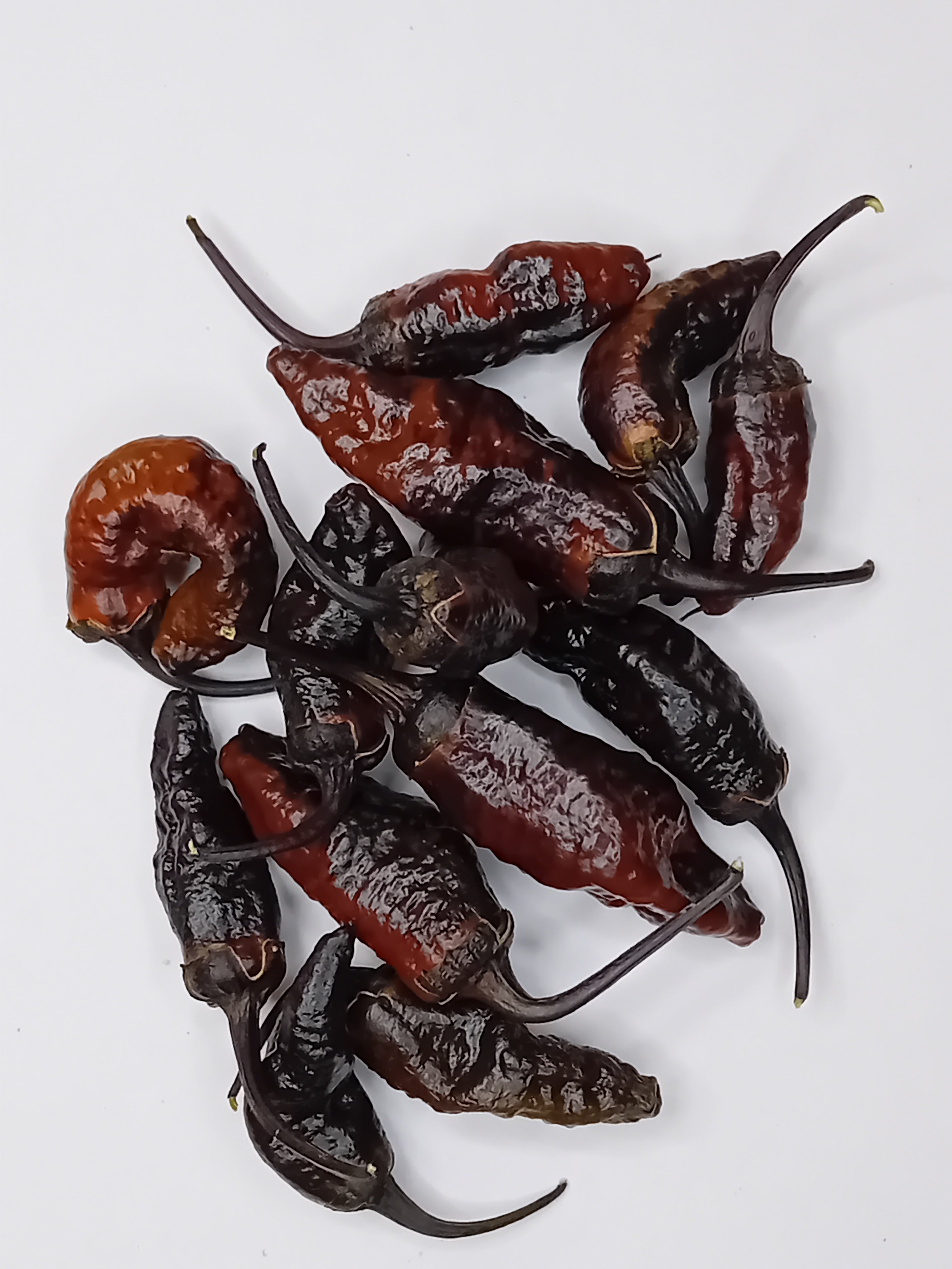 Seminţe Ardei - Purple Thundergum