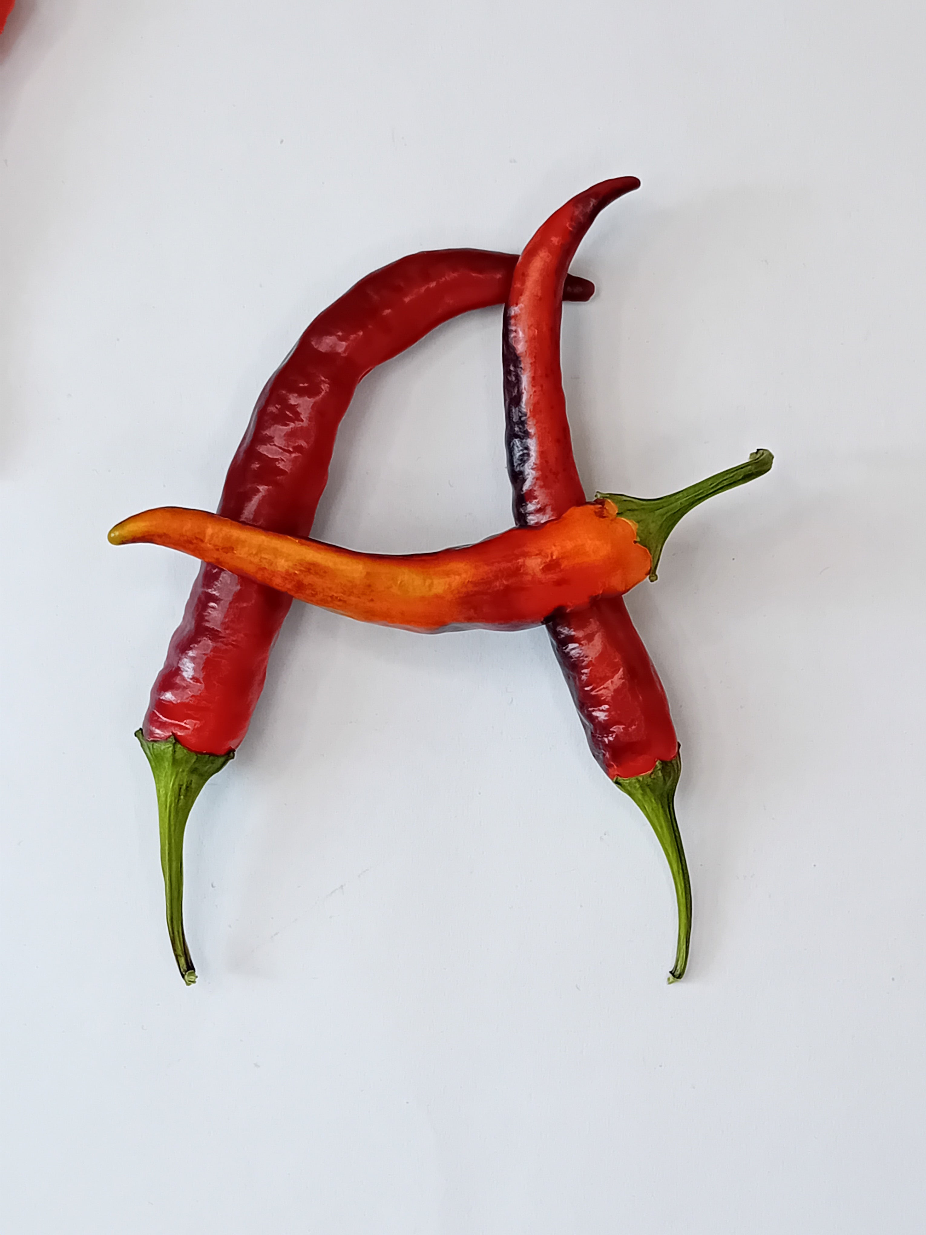 Răsad Ardei - Black Prince