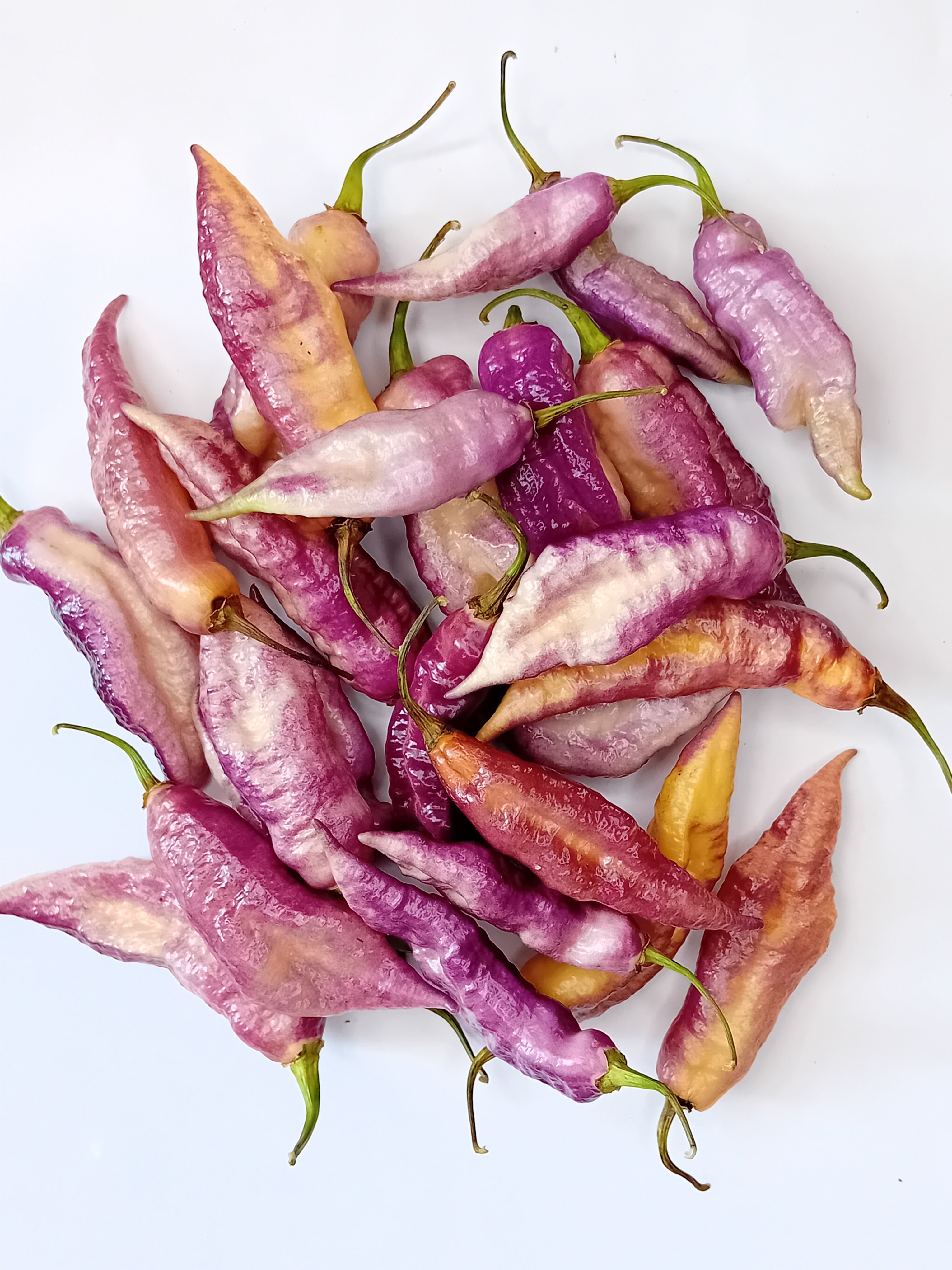 Seminţe Ardei - Taj Mahal Pink Peach