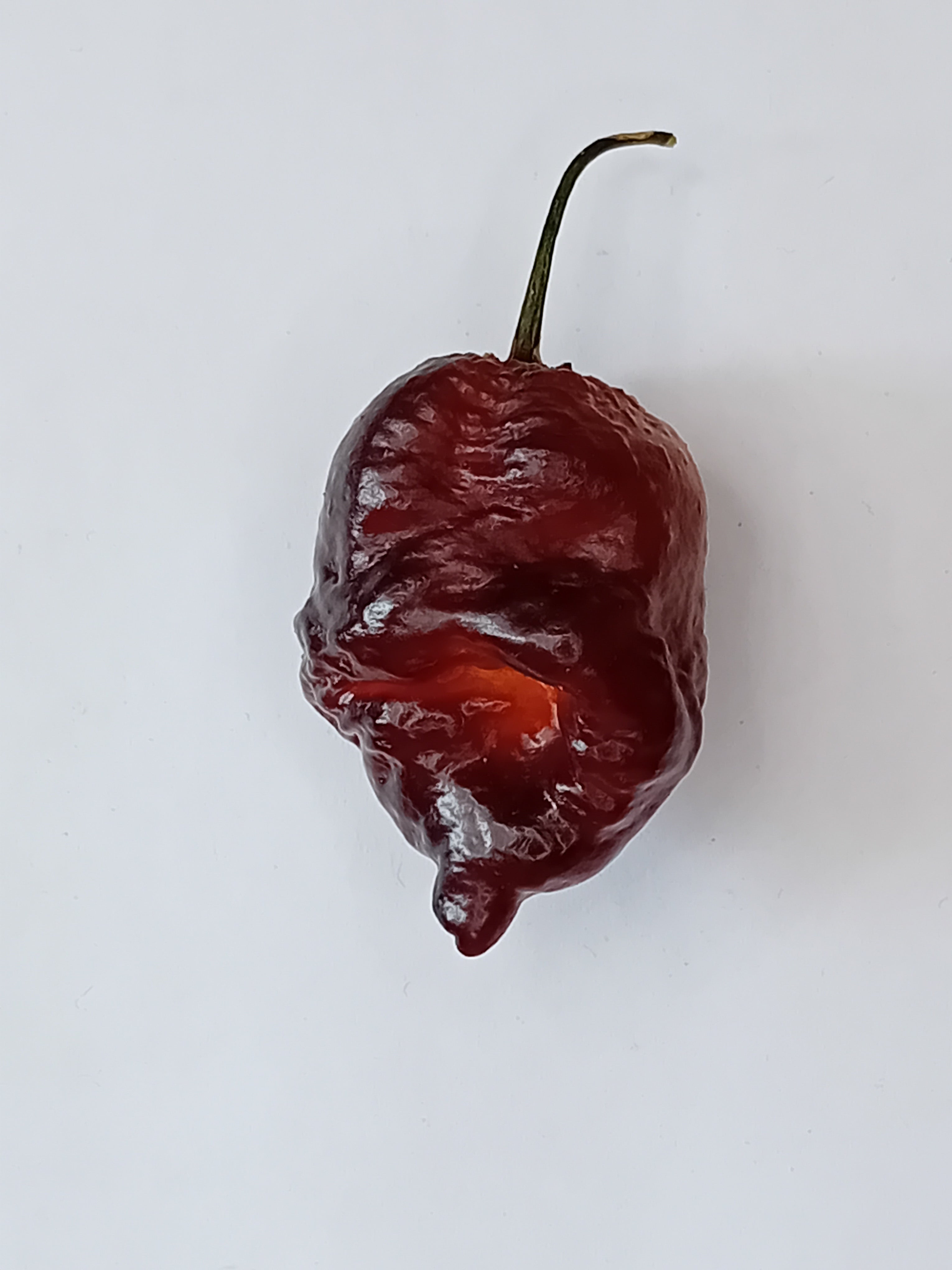 Pepper Seedling - Hurt Berry