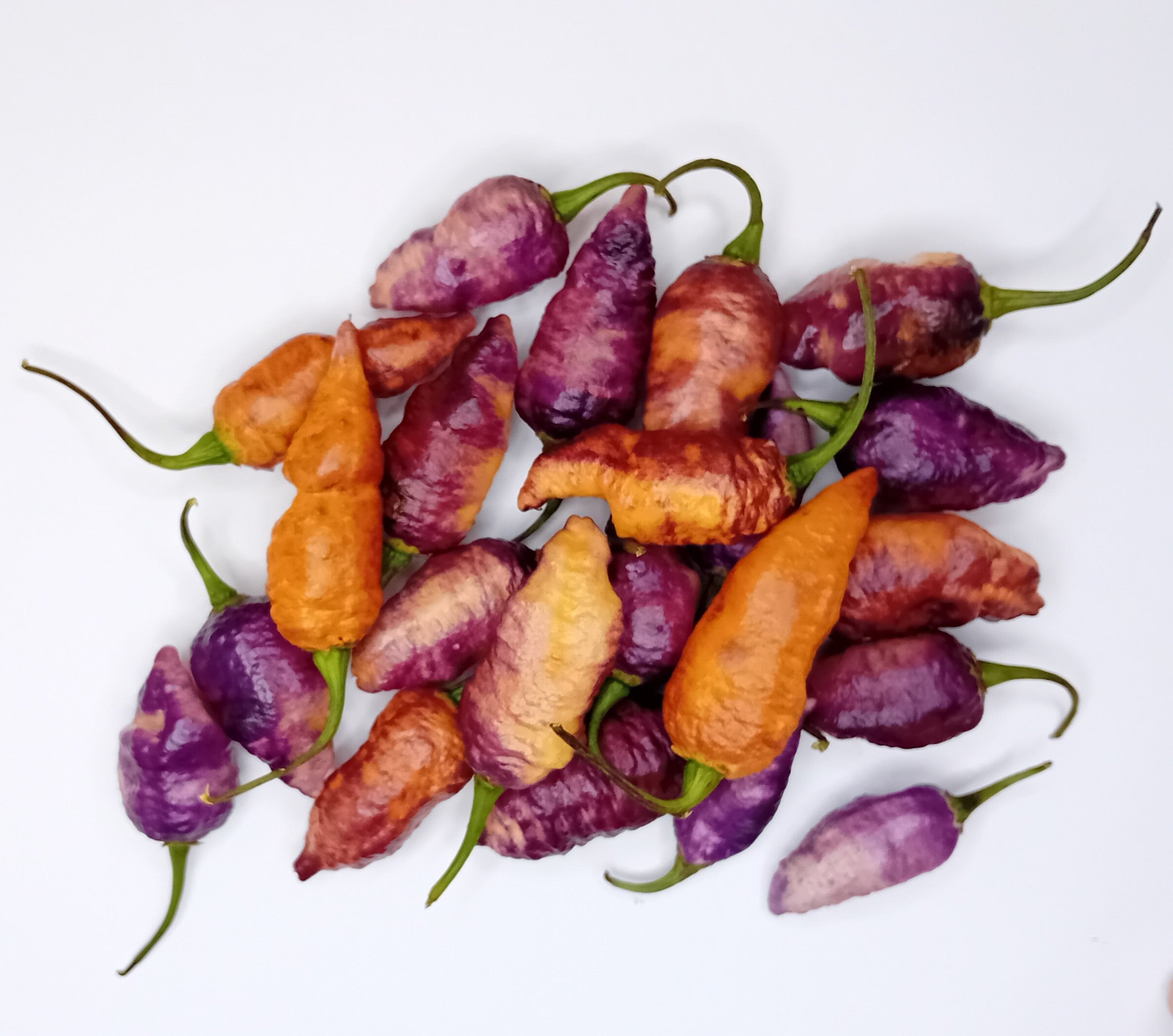 Seminţe Ardei - Incendiary Sunset