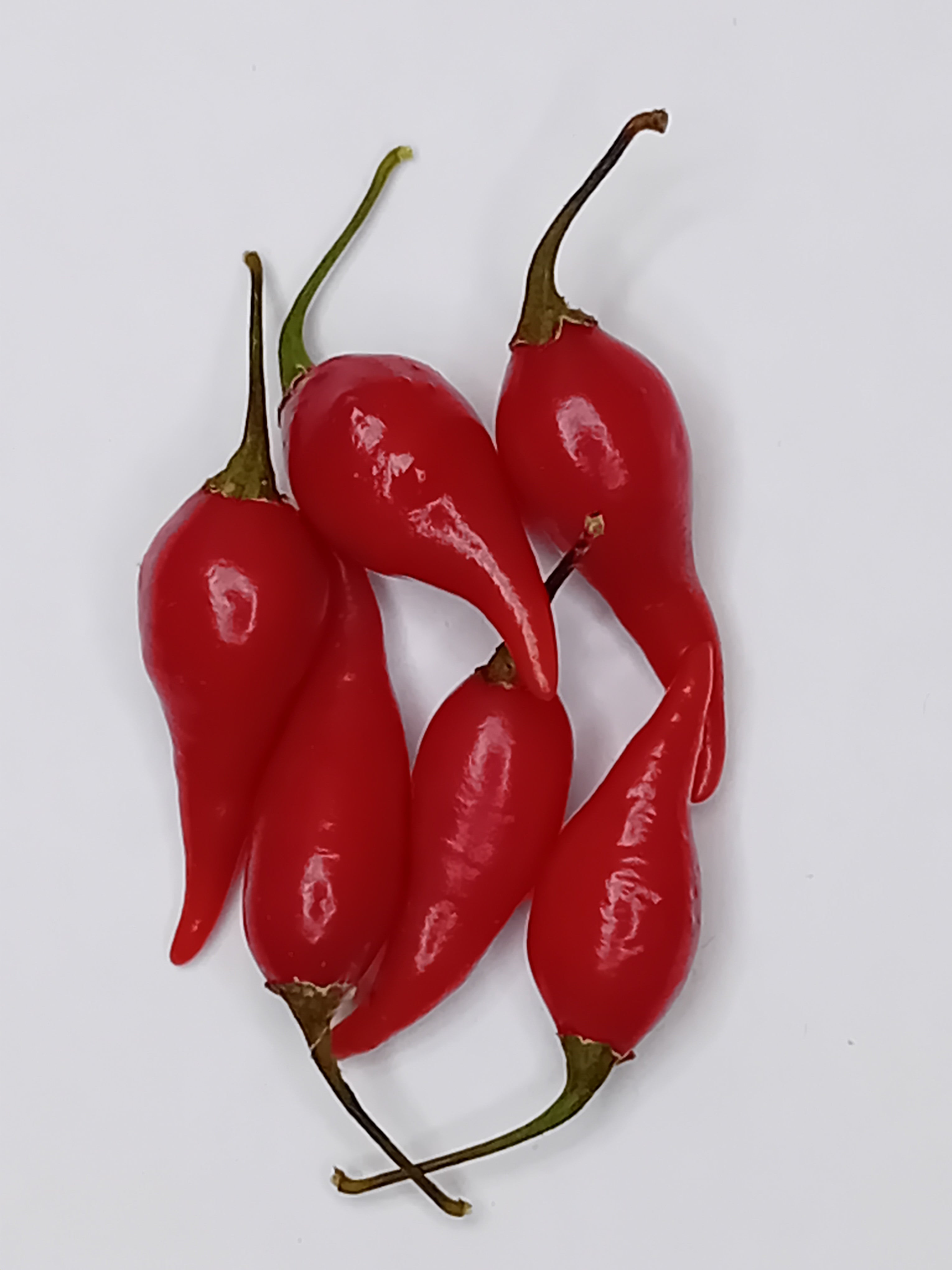 Răsad Ardei - Biquinho Red