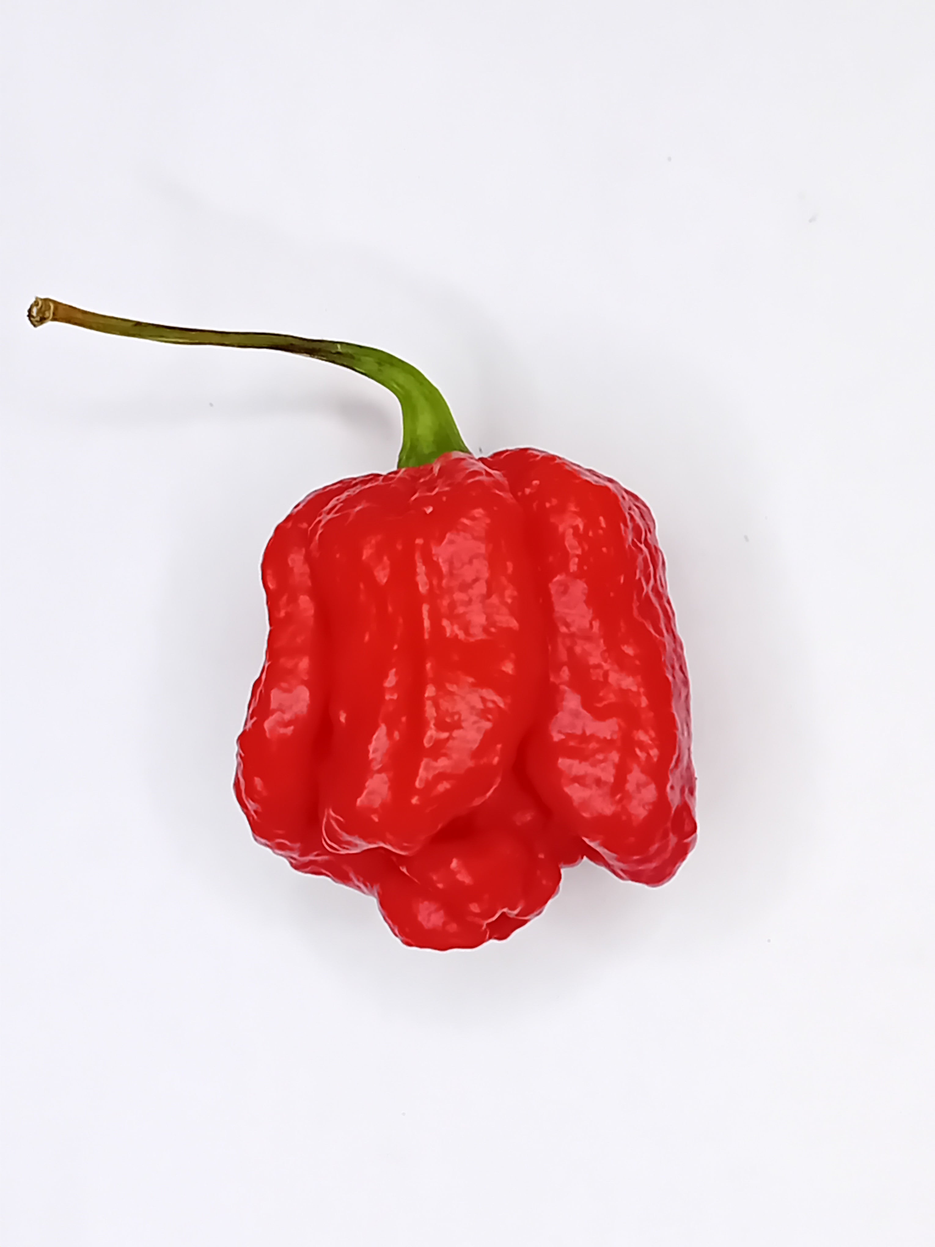 Pepper Seedling - Hurt Berry