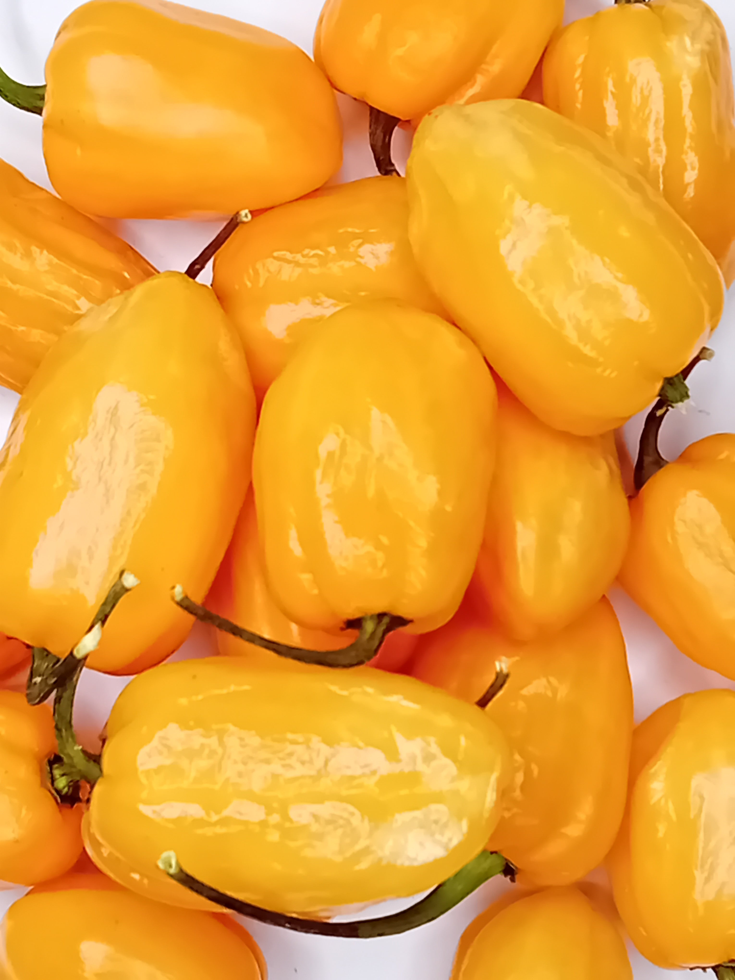 Seminţe Ardei - Habanero Pumpkin Peach