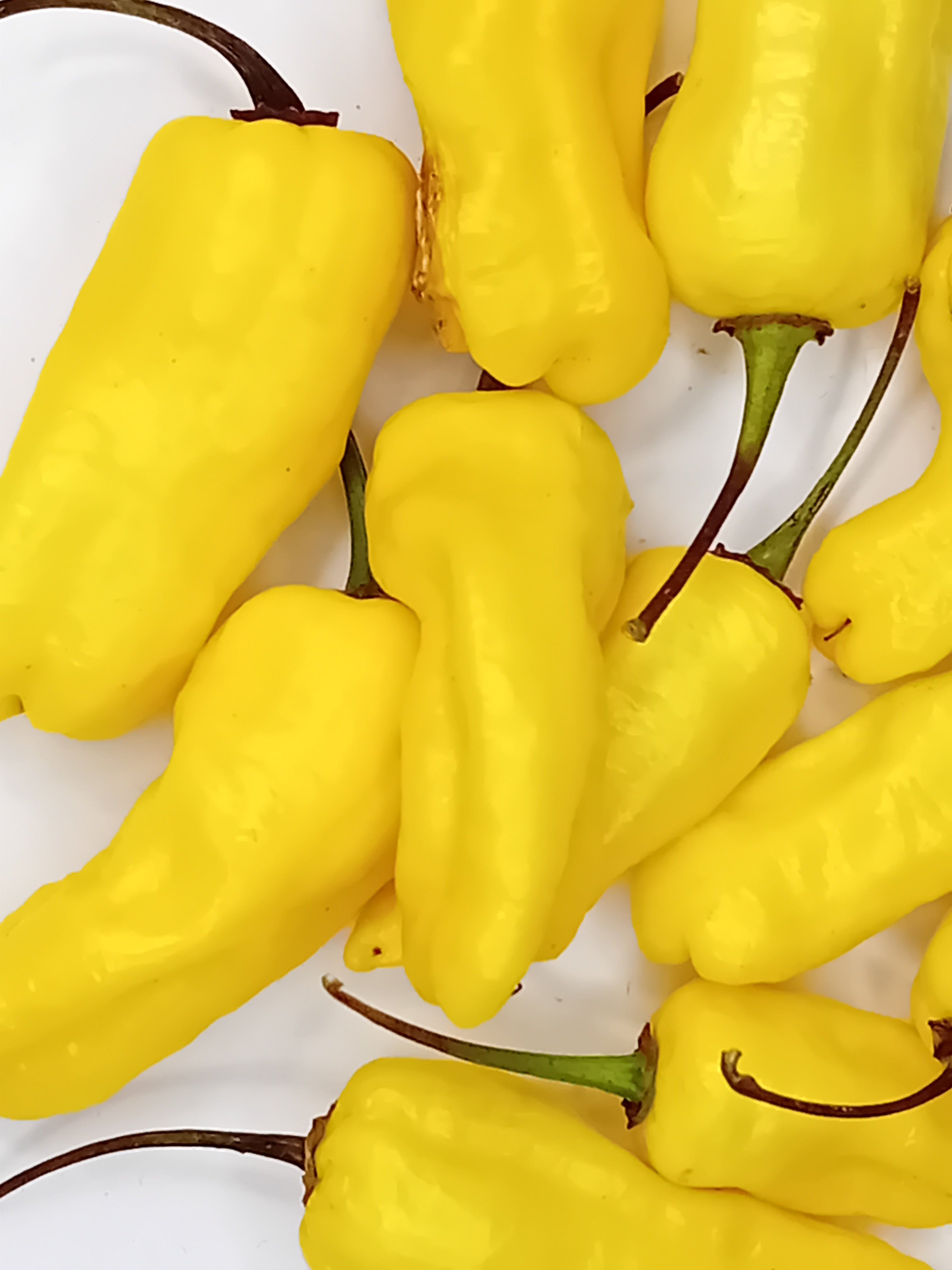 Seminţe Ardei - Jalapeno Lemon Ghostly