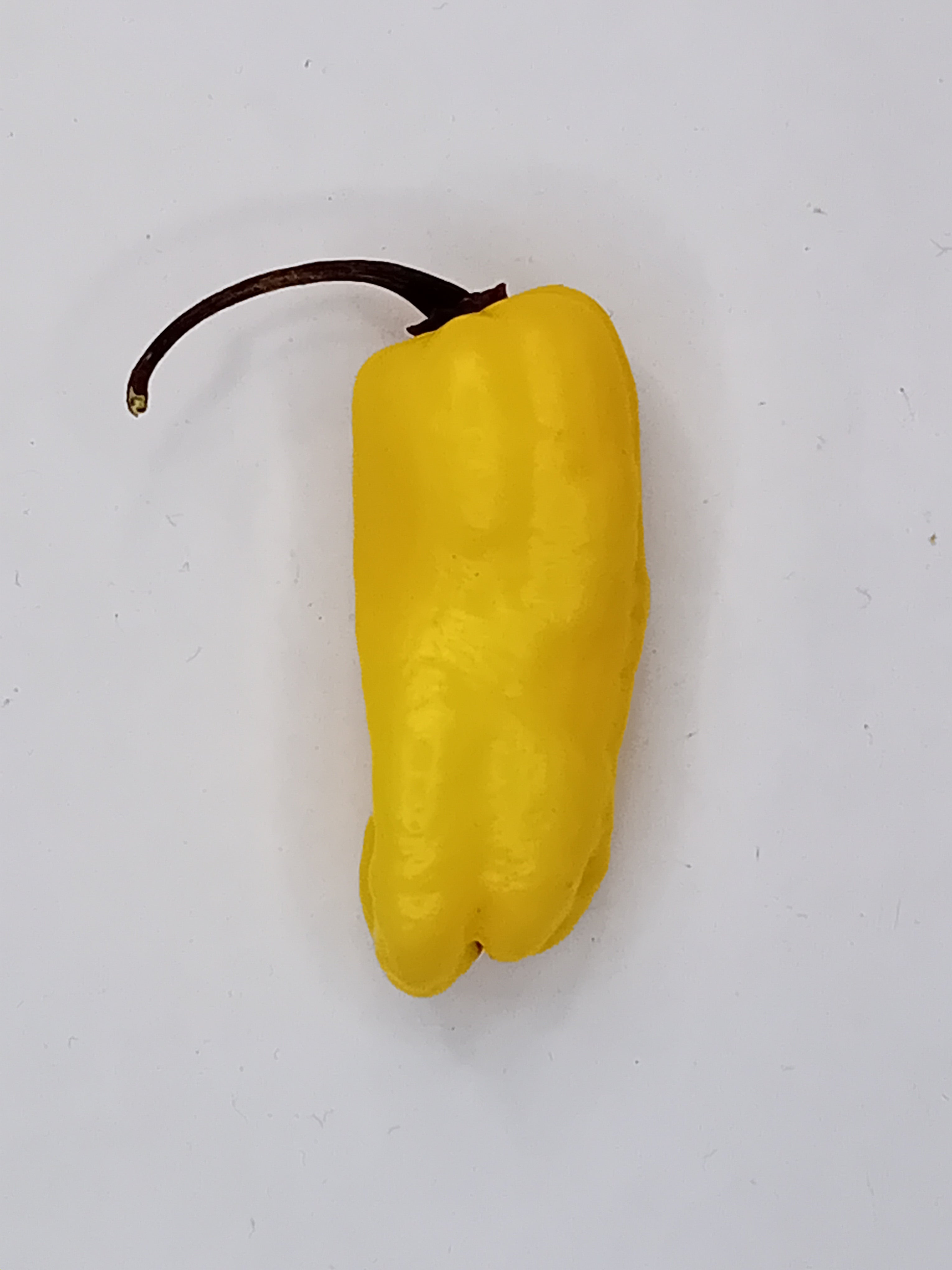 Seminţe Ardei - Jalapeno Lemon Ghostly