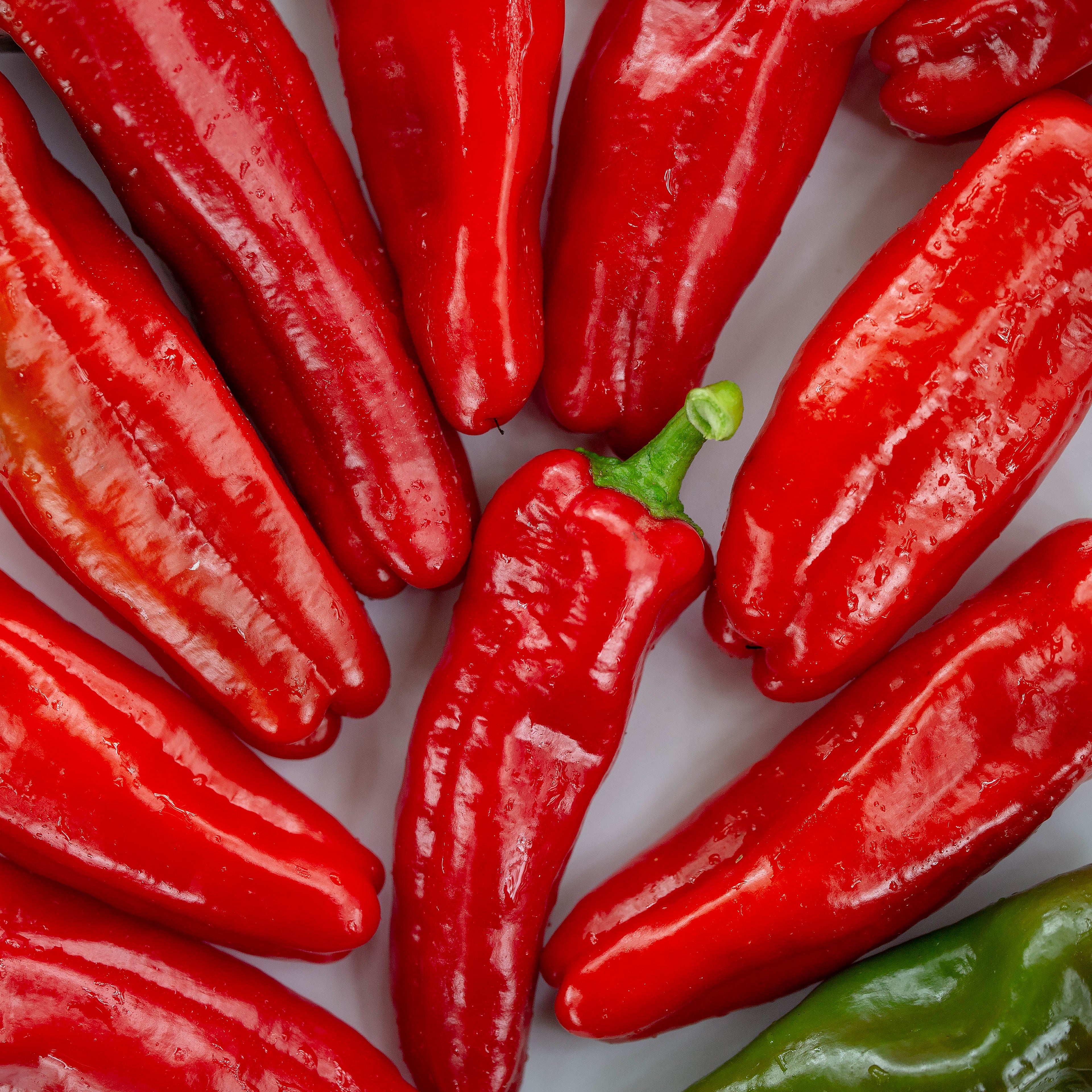 Ardei - Pimiento de Padrón