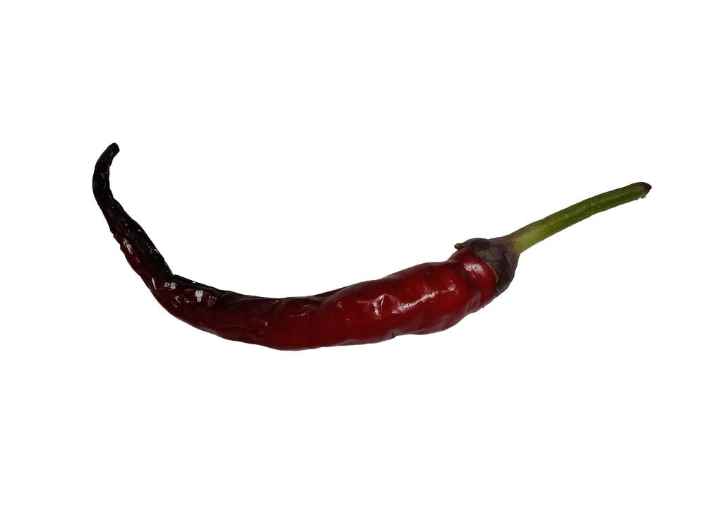 Răsad Ardei - Buena Mulata