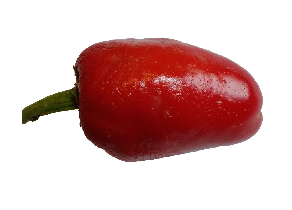 Seminţe Ardei - Jalapeno Jalastar