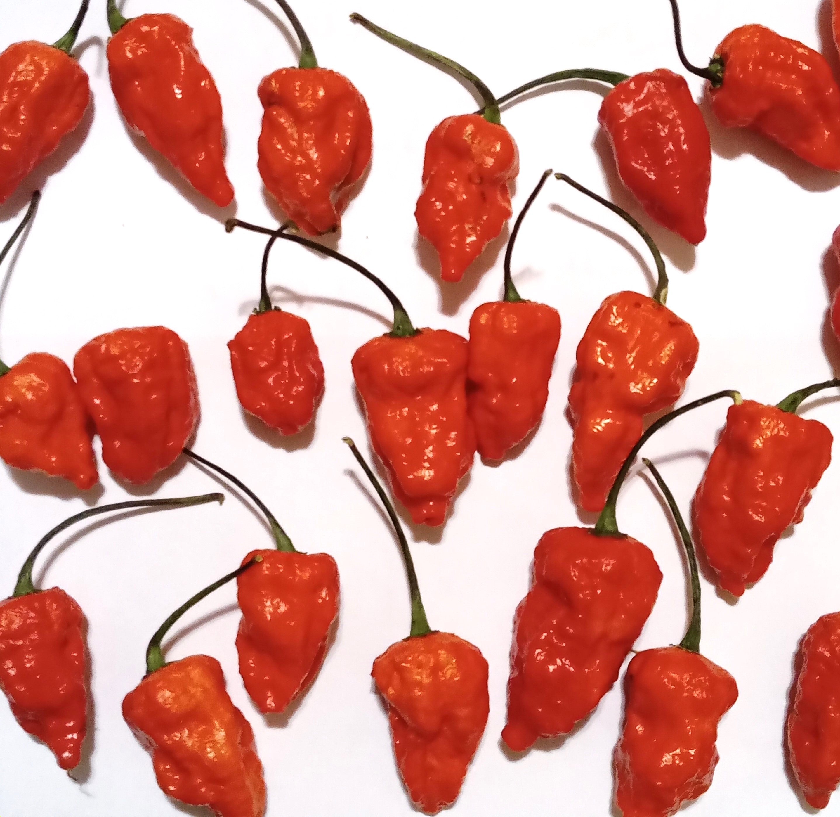 Seminţe Ardei - 3MSHU