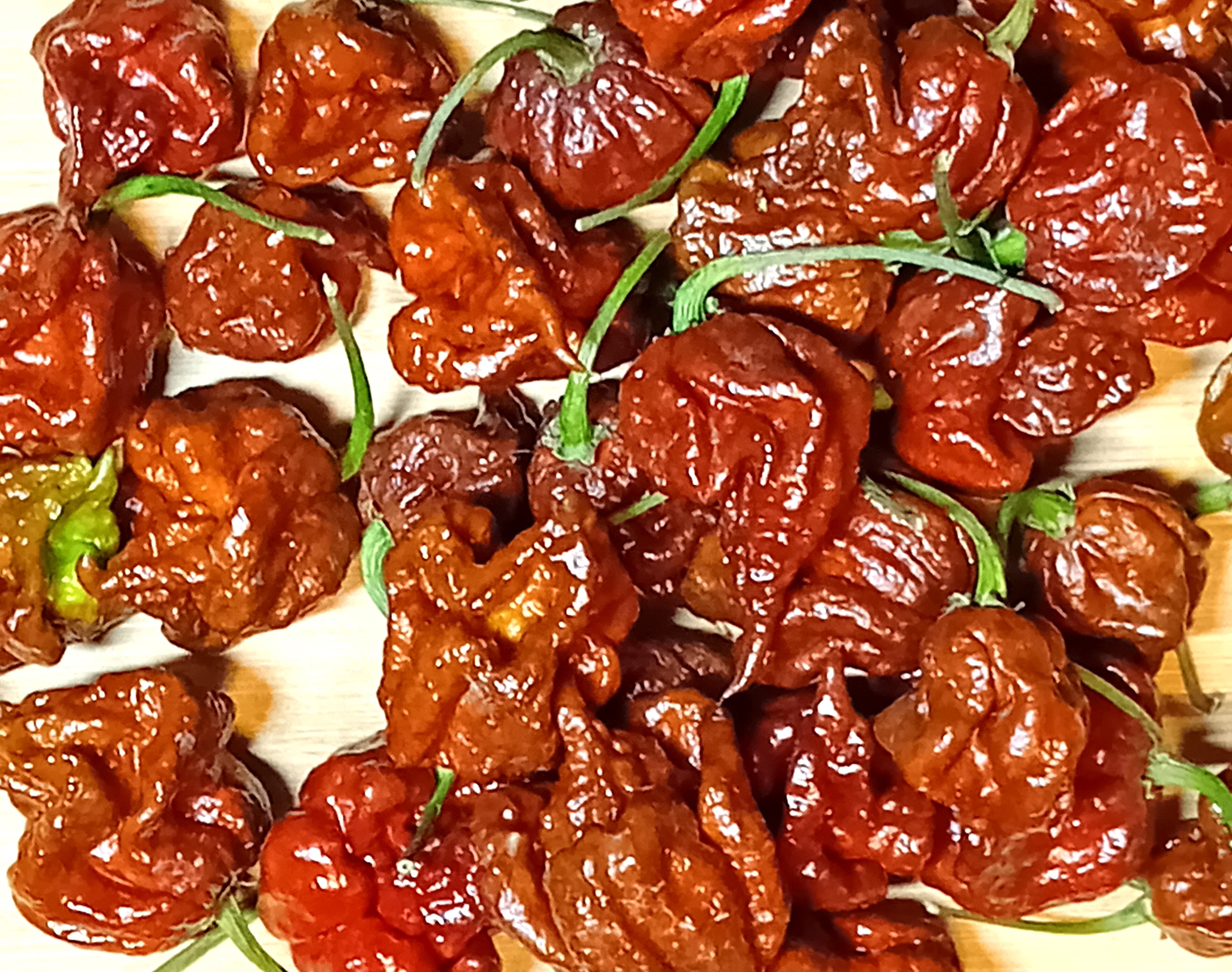 Răsad Ardei - 7 Pot Primo Chocolate