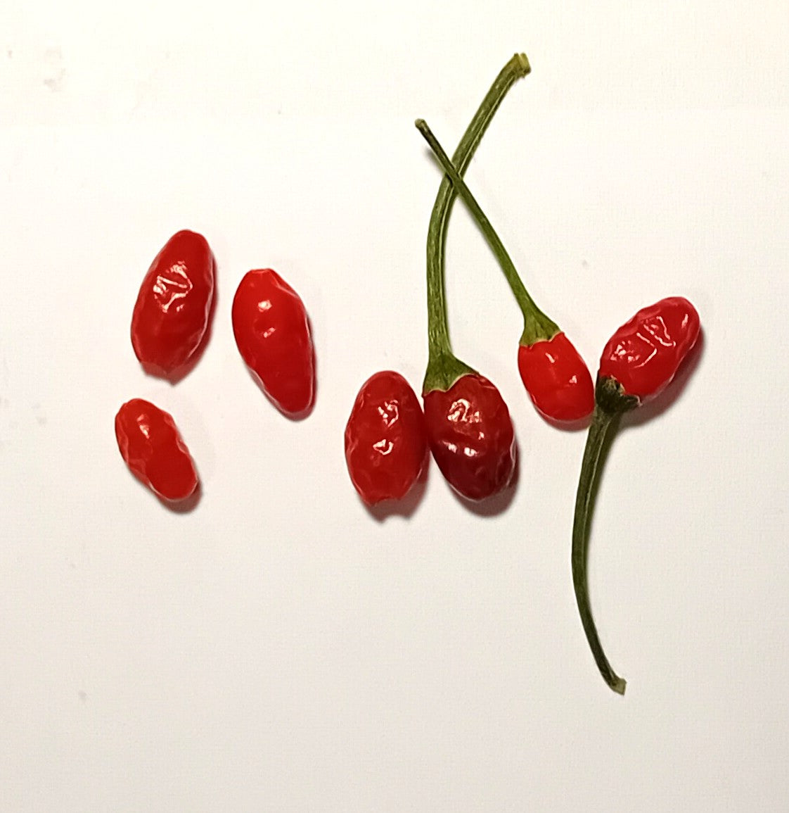 Răsad Ardei - Aji Charapita Bird