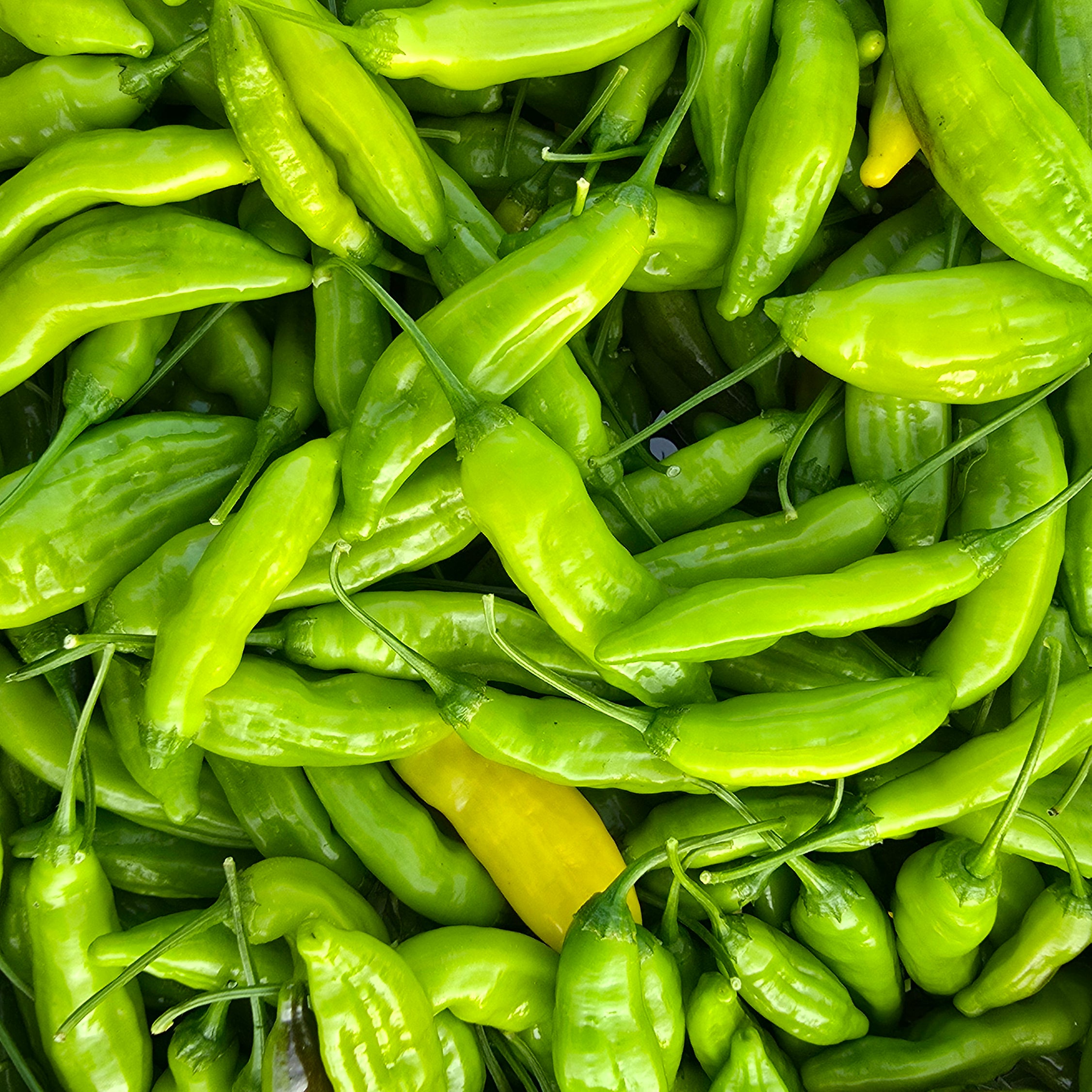 Ardei - Aji Pinnaple