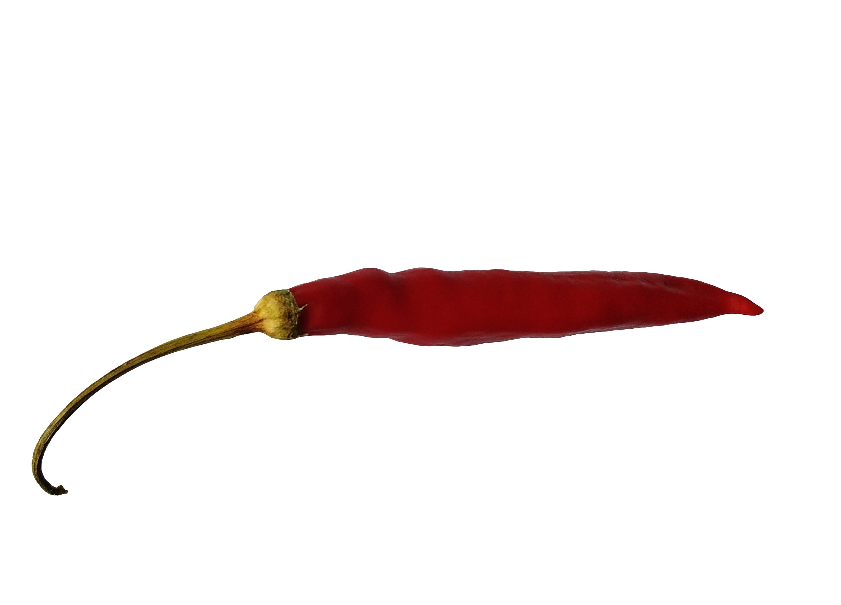 Răsad Ardei - Brigits Locoto