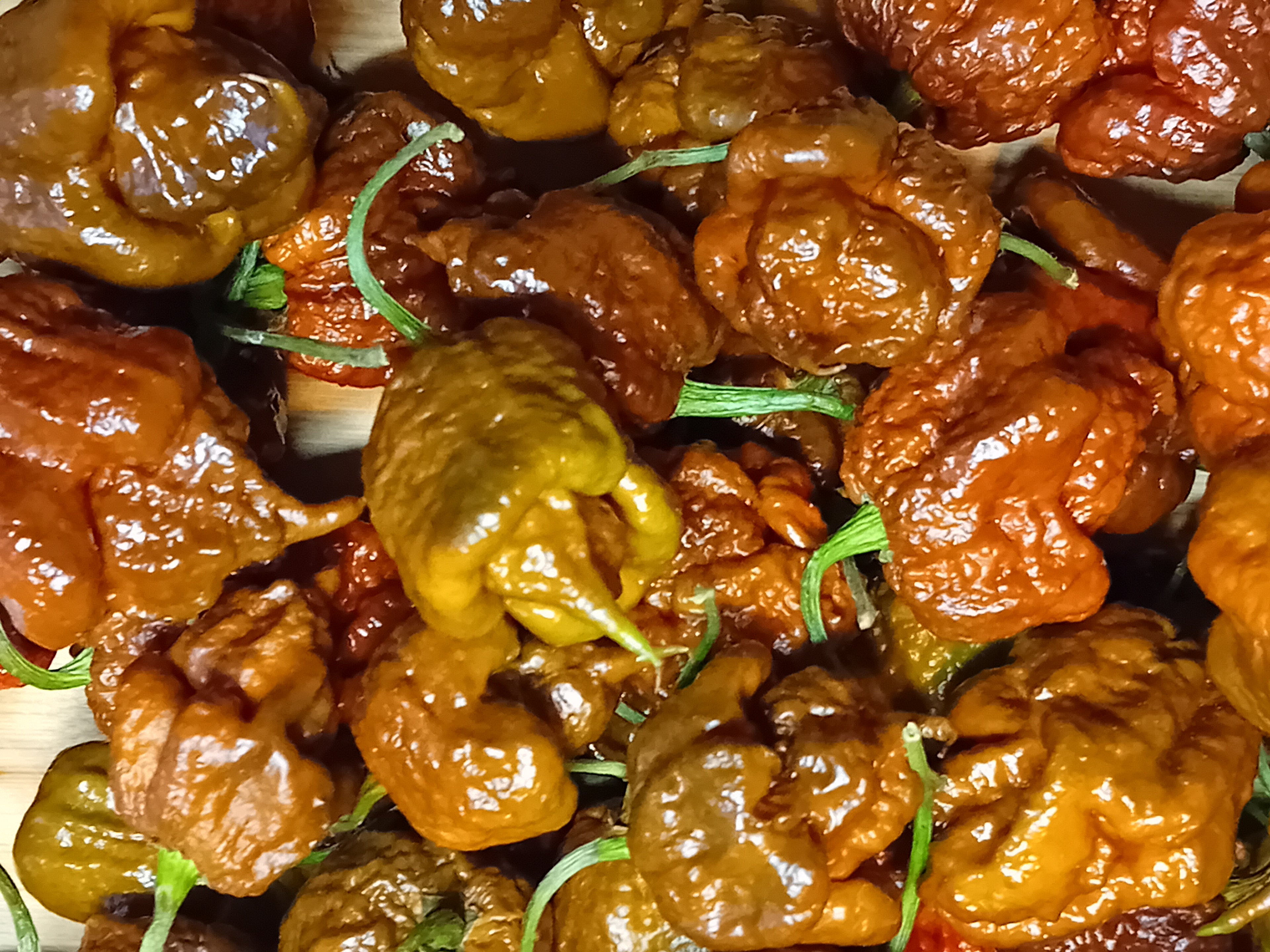 Răsad Ardei - Carolina Reaper Chocolate