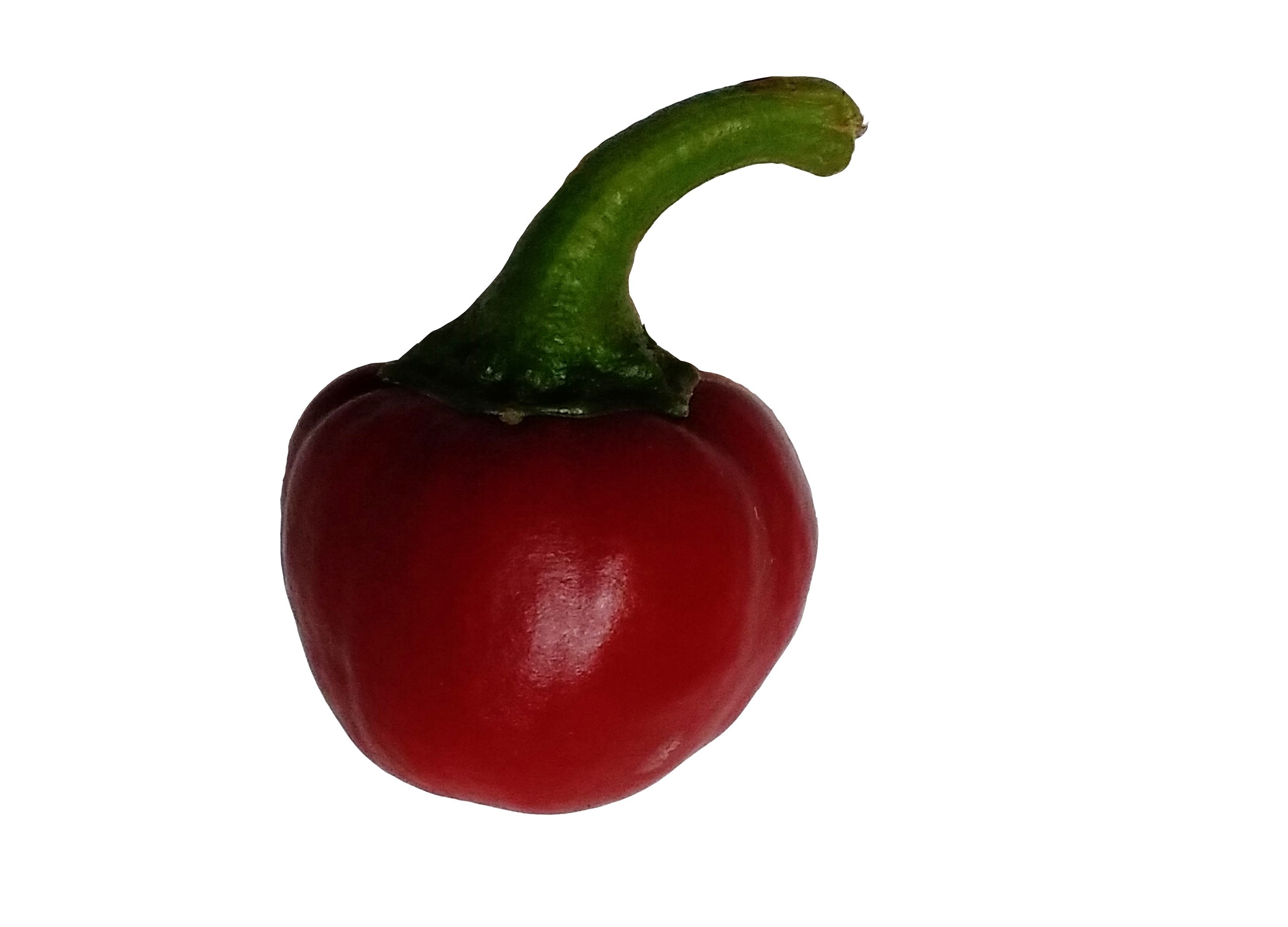 Răsad Ardei - Cherry Bomb Red