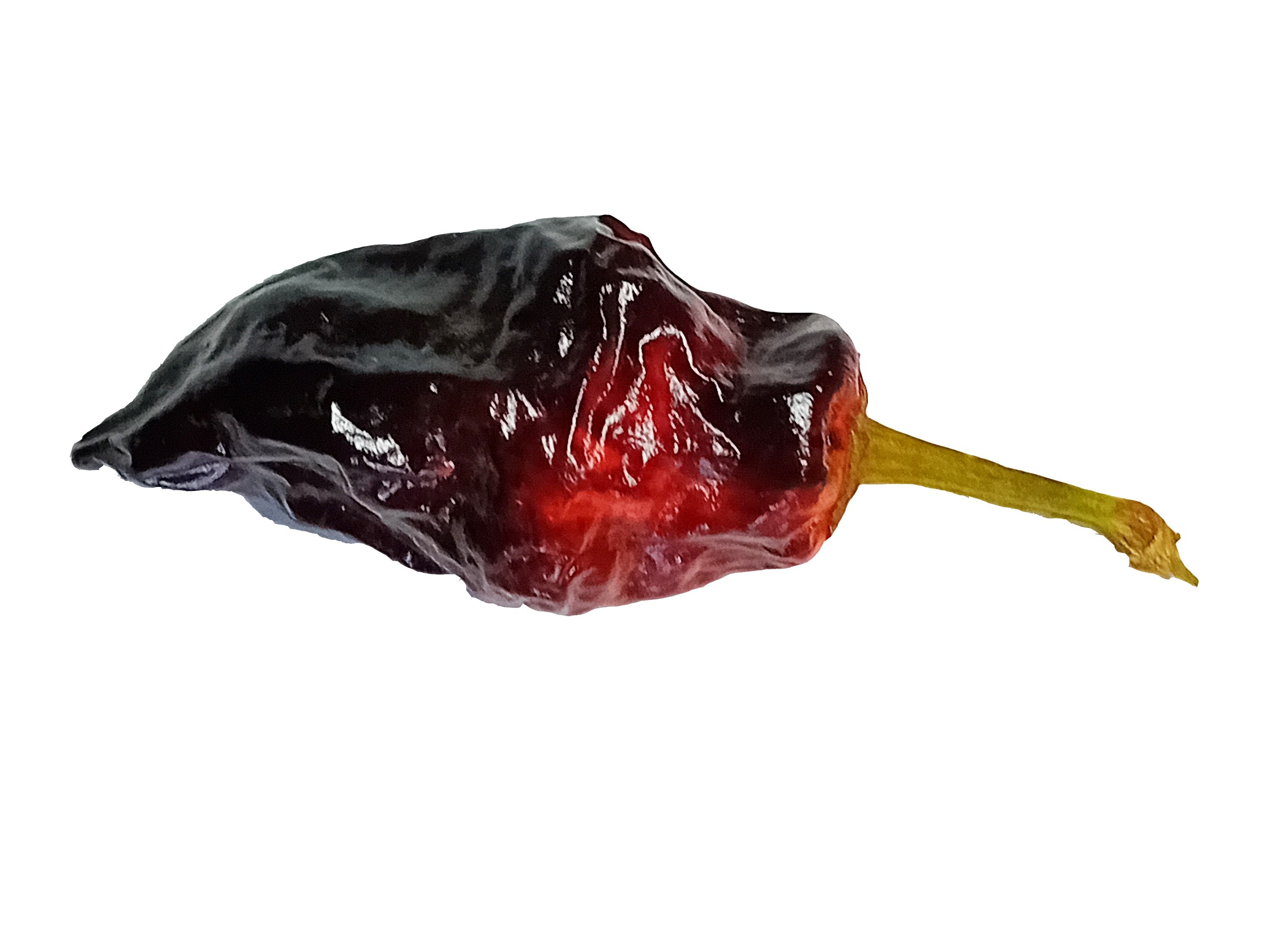 Răsad Ardei - Comstock Purple