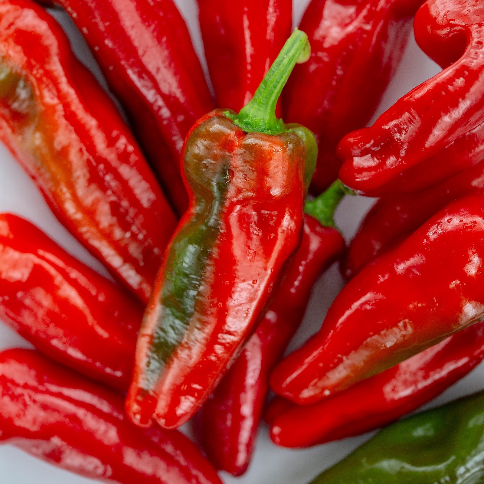 Seminţe Ardei - Pimento Padron