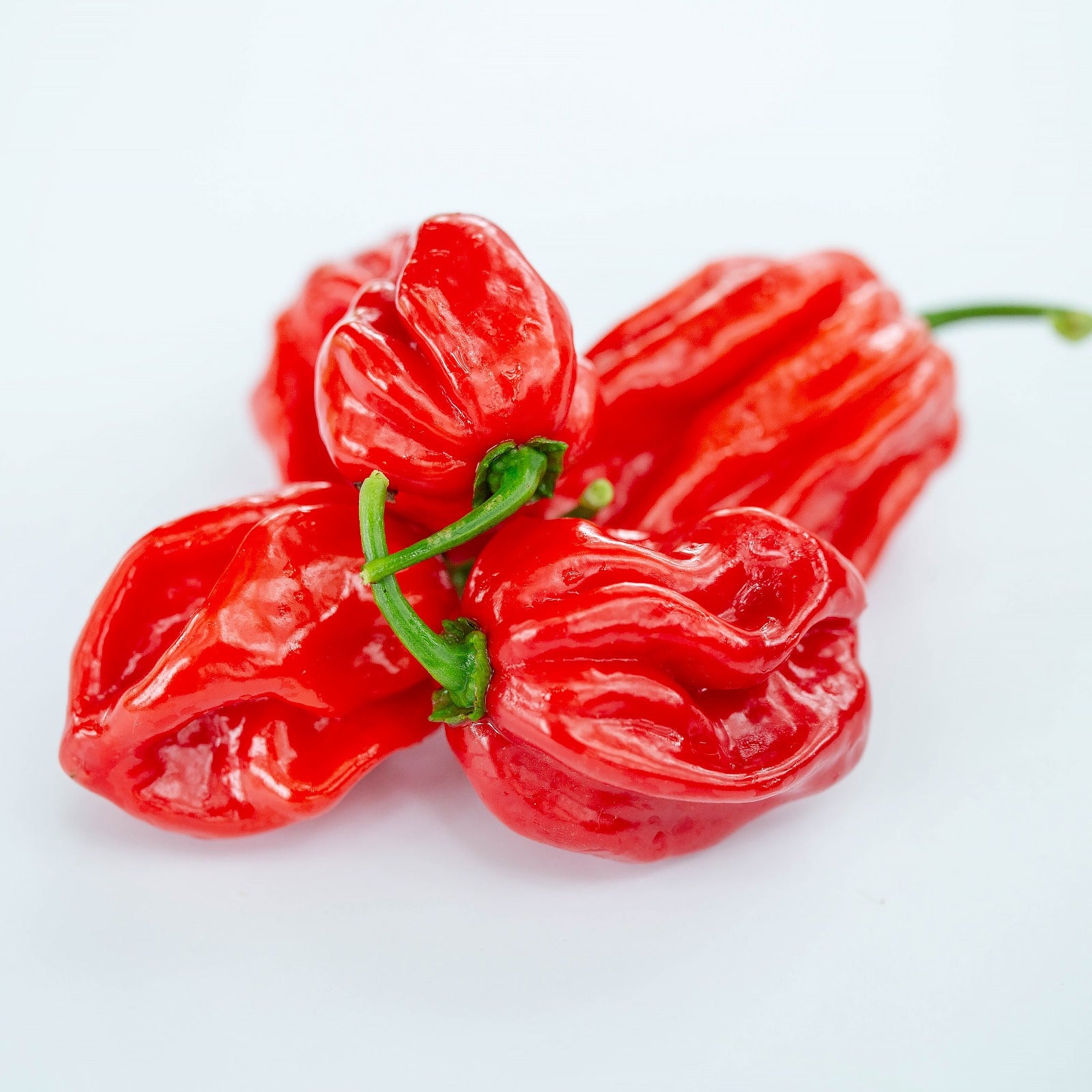 Seminţe Ardei - Habanero Red Caribbean