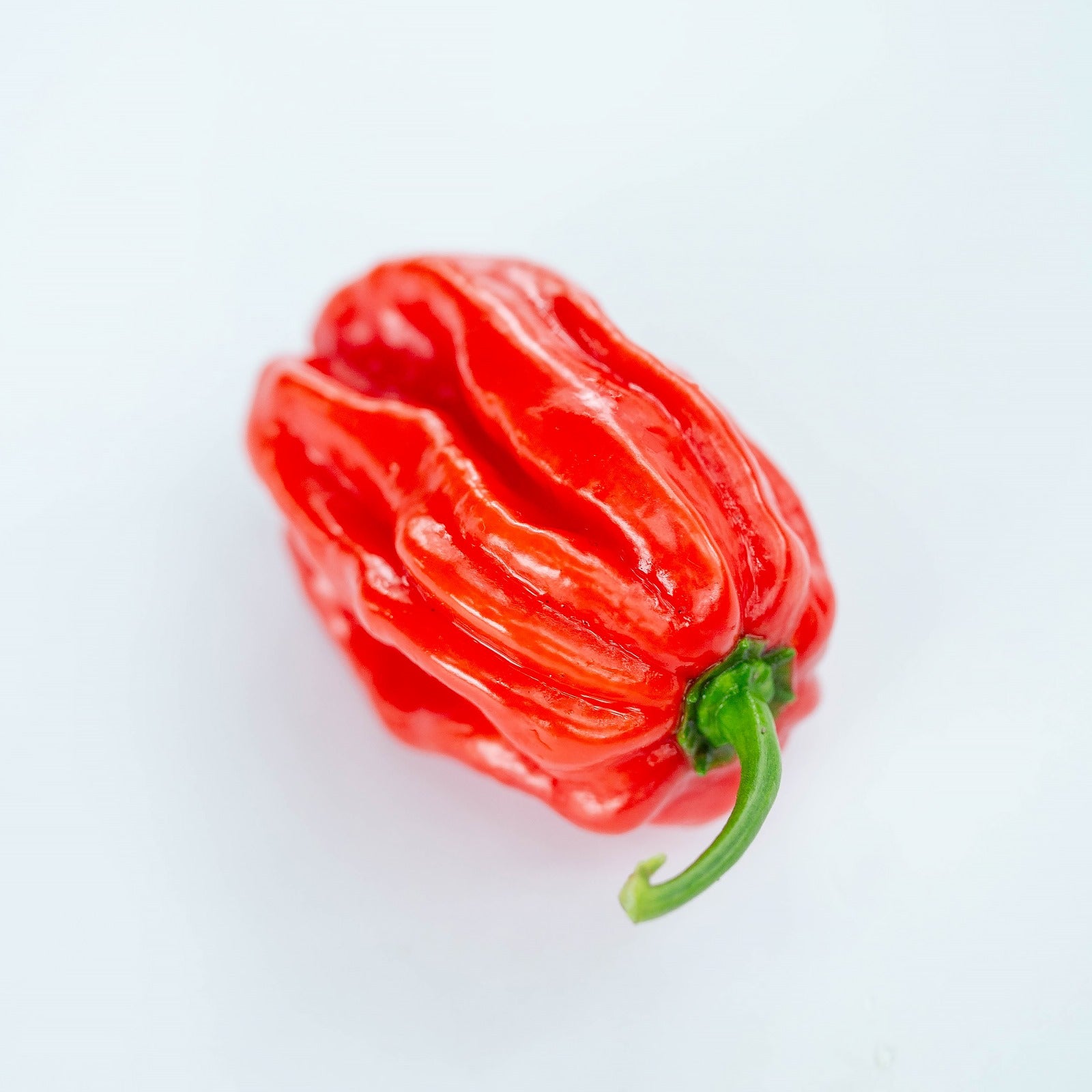 Seminţe Ardei - Habanero Red Caribbean