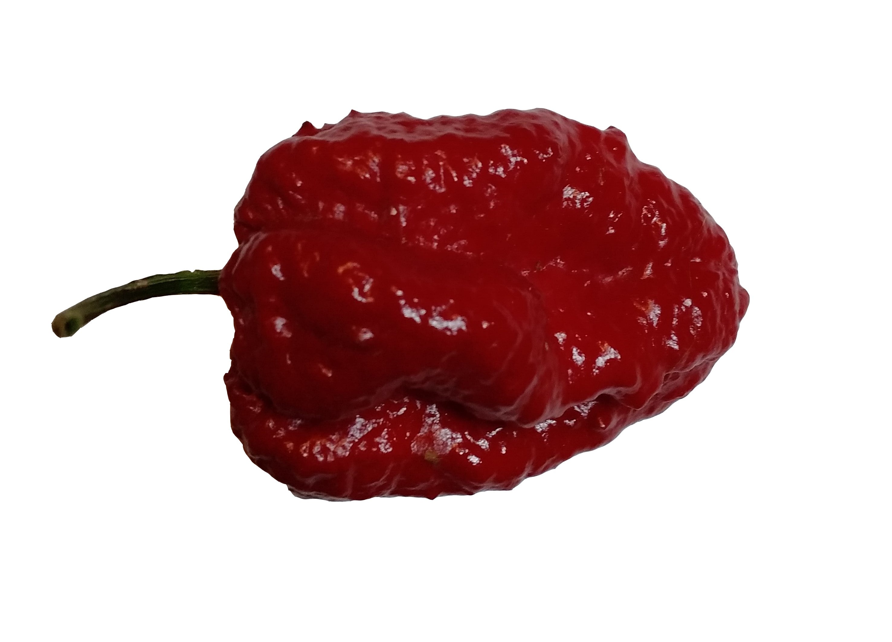 Seminţe Ardei - Jigsaw Chocolate