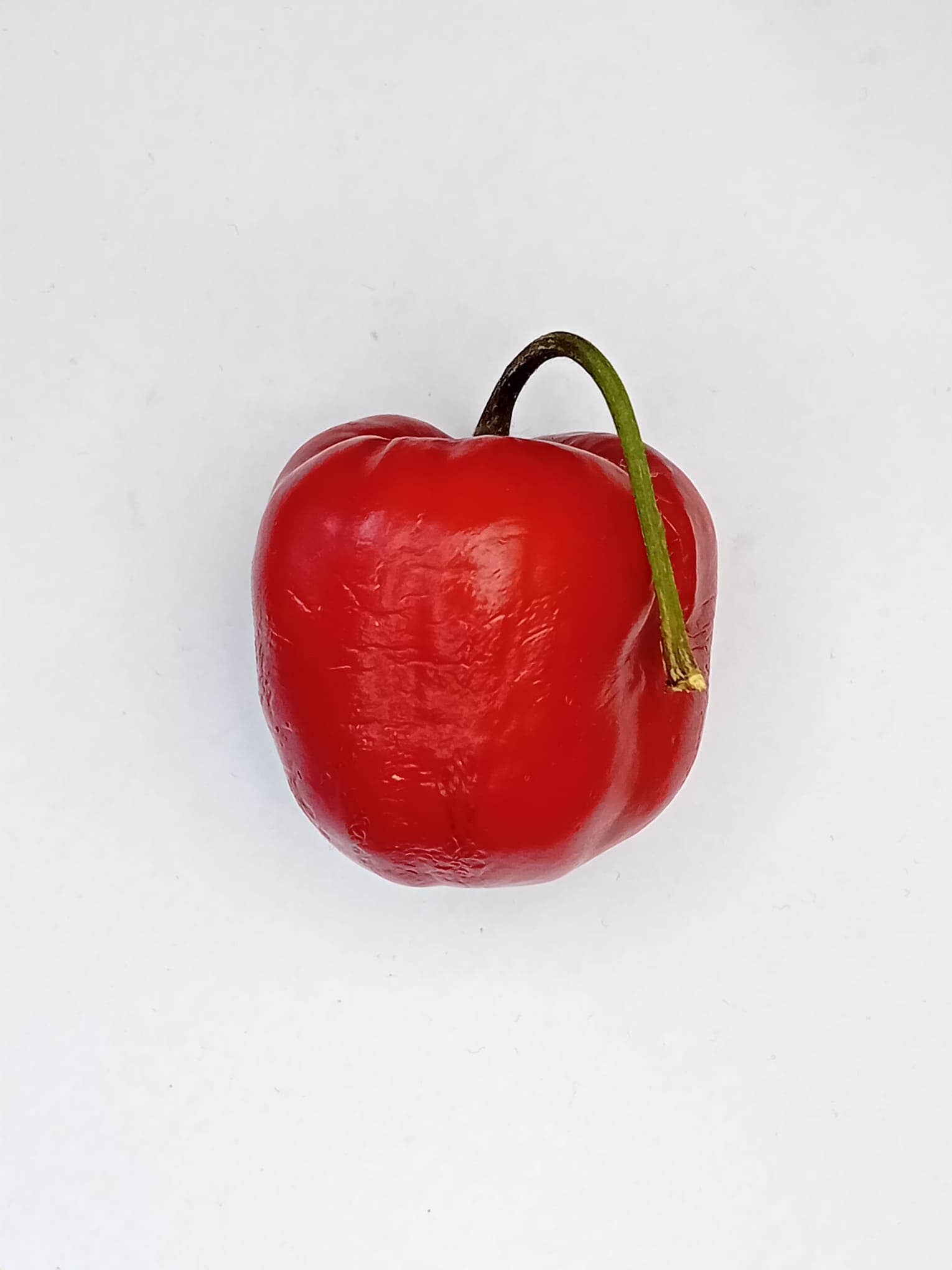 Seminţe Ardei - Rocoto Montfular