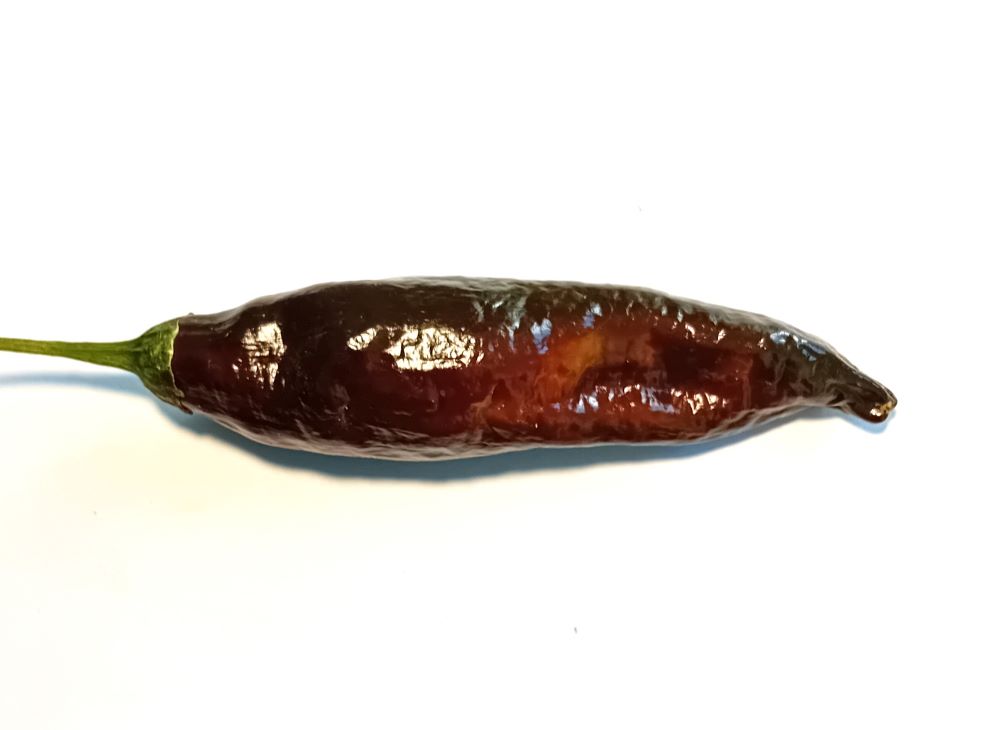 Răsad Ardei - Aji Panca Lima