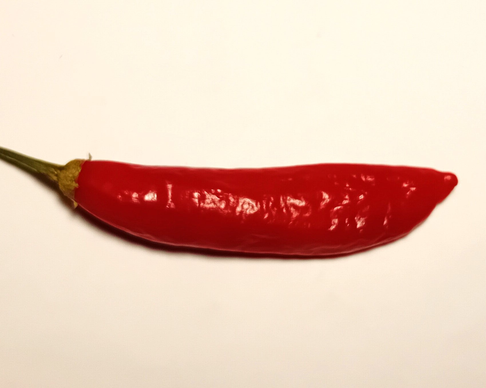 Răsad Ardei - Aji Peruvian