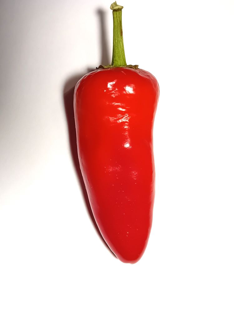 Pepper Seedling - Fresno