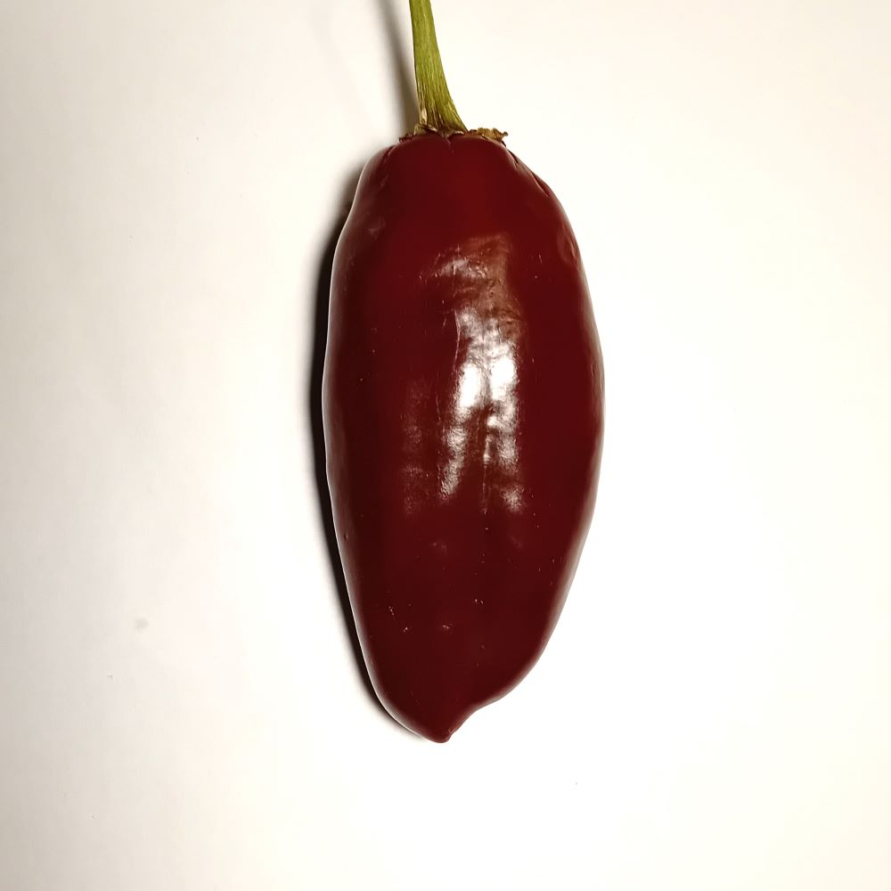 Seminţe Ardei - Jalapeno Brown