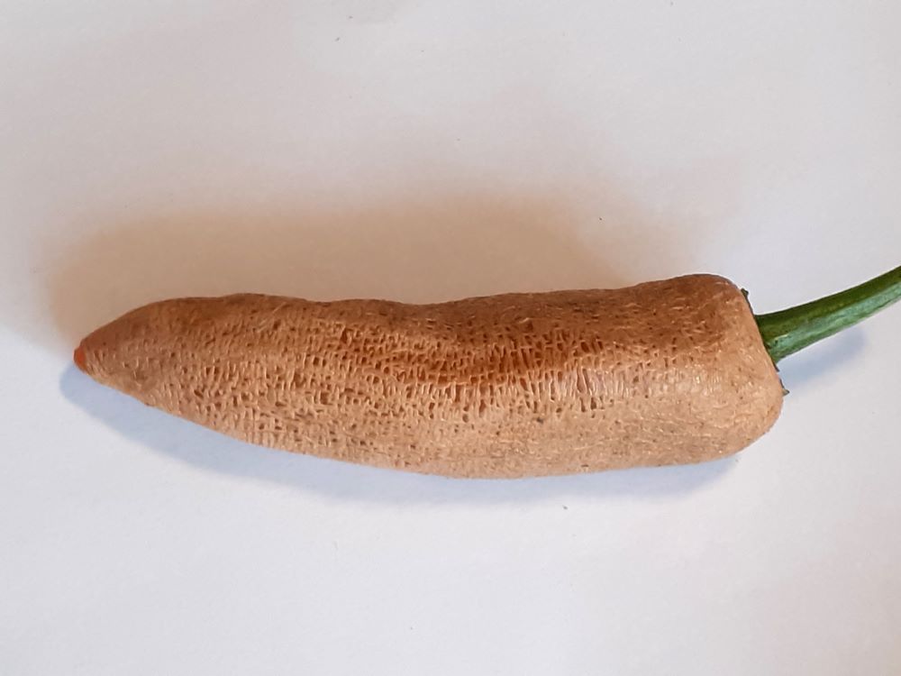 Seminţe Ardei - Jalapeno Farmer's