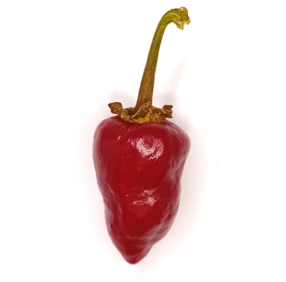 Seminţe Ardei - Kardoula