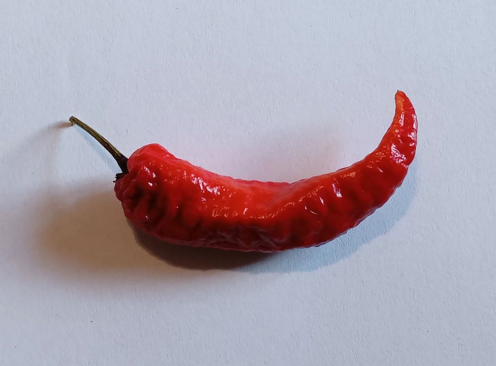 Seminţe Ardei - Leviathan Drax