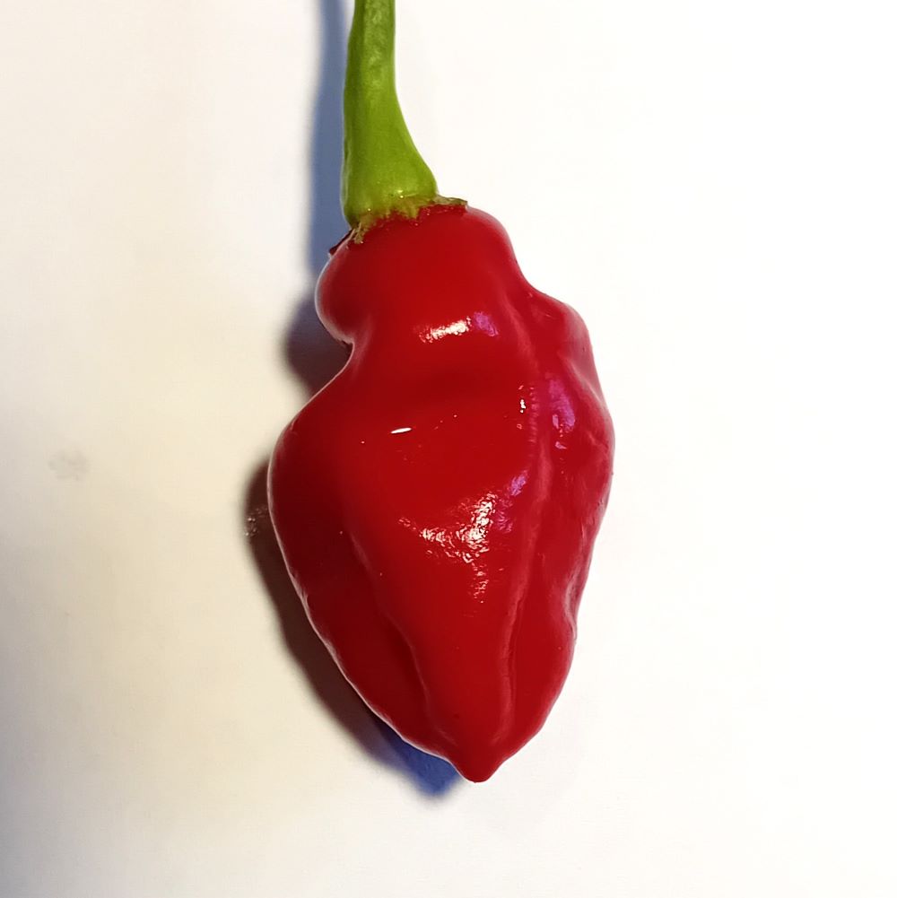 Seminţe Ardei - Numex Suave Red