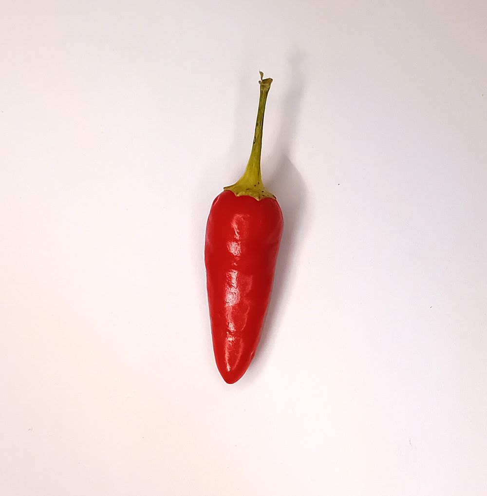 Seminţe Ardei - Pequin Orange