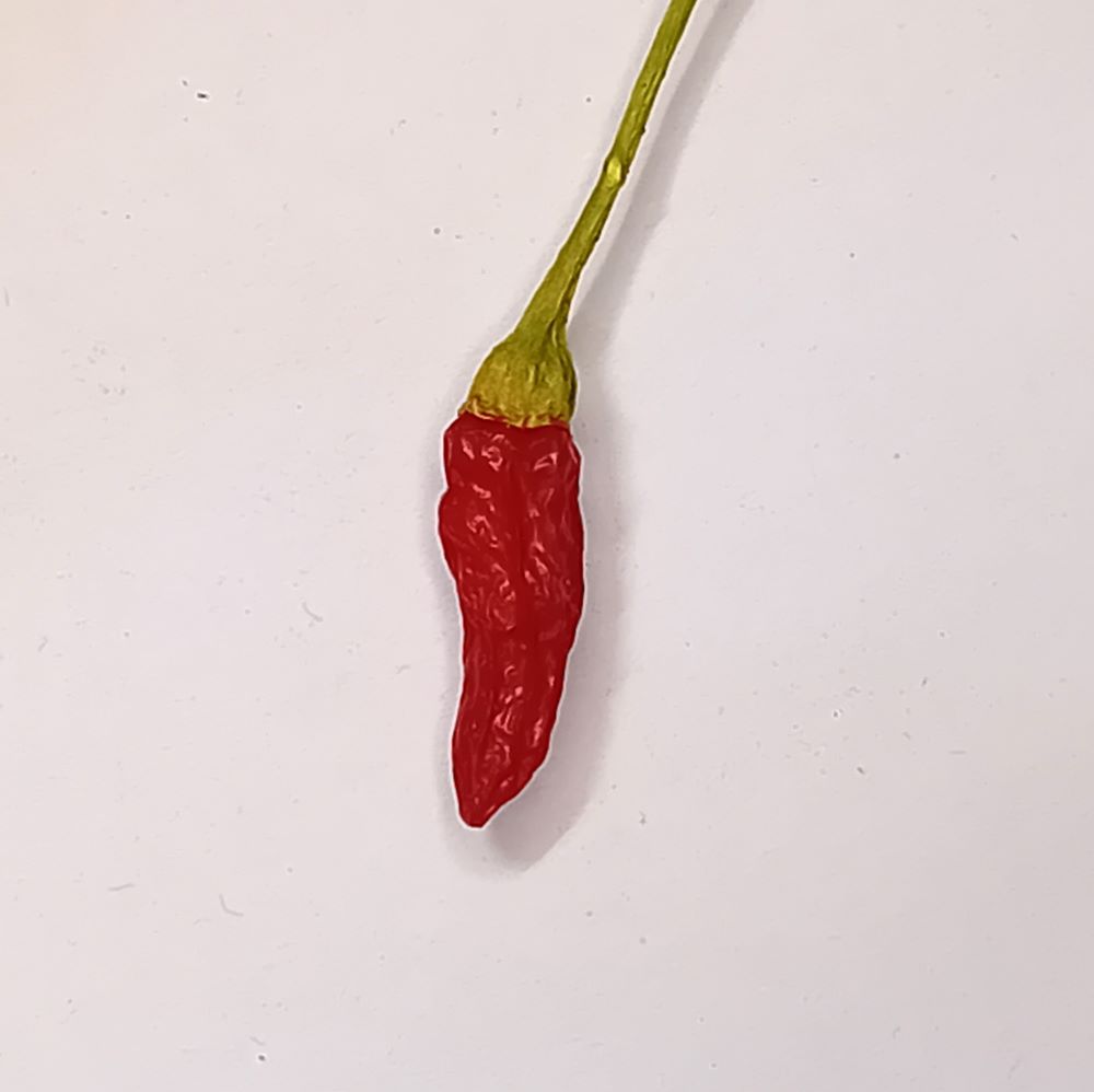 Seminţe Ardei - Peri Peri