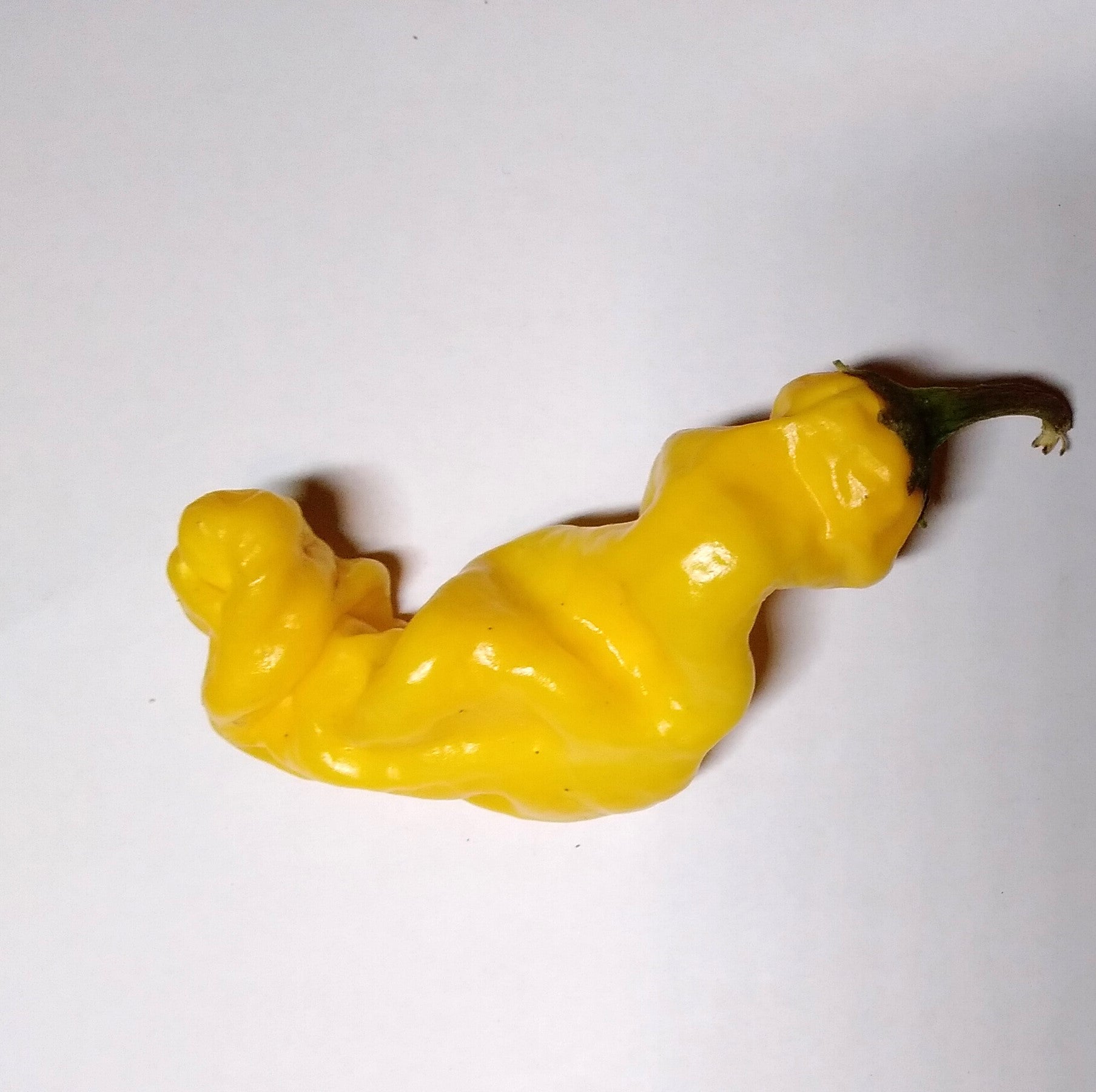 Seminţe Ardei - Peter Pepper Yellow