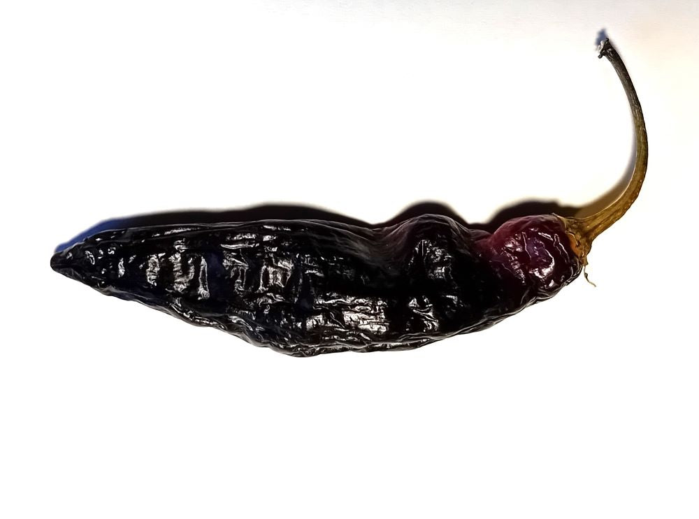 Seminţe Ardei - Pimenta Neyde Black