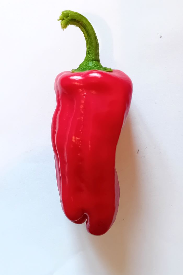 Seminţe Ardei - Pimento Padron