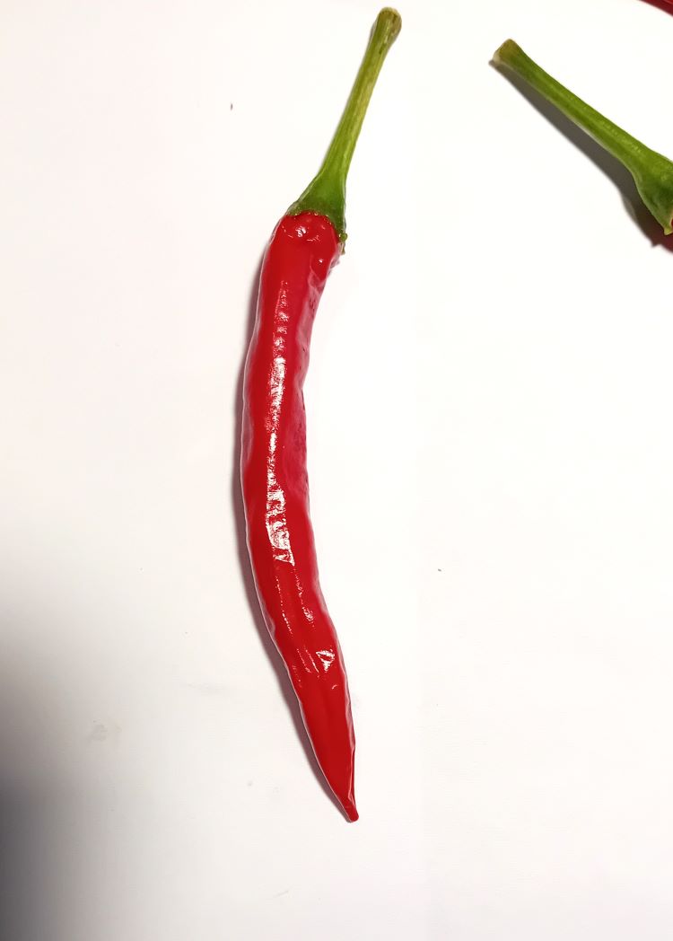 Seminţe Ardei - Prik Nam Pla