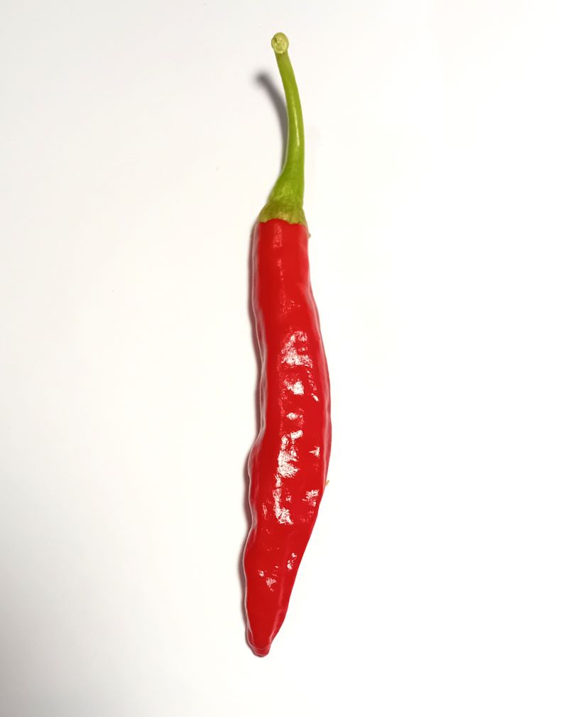 Seminţe Ardei - Prik Nam Sri