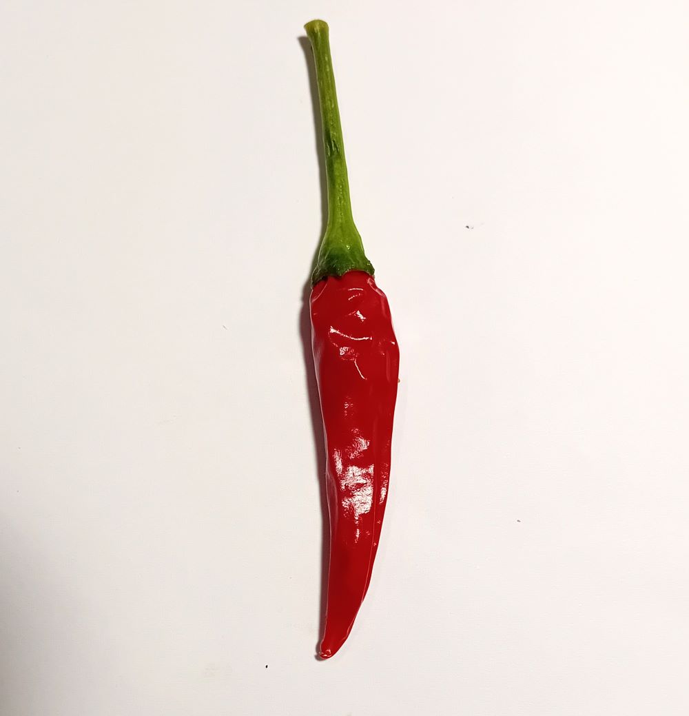 Seminţe Ardei - Prik No Sad