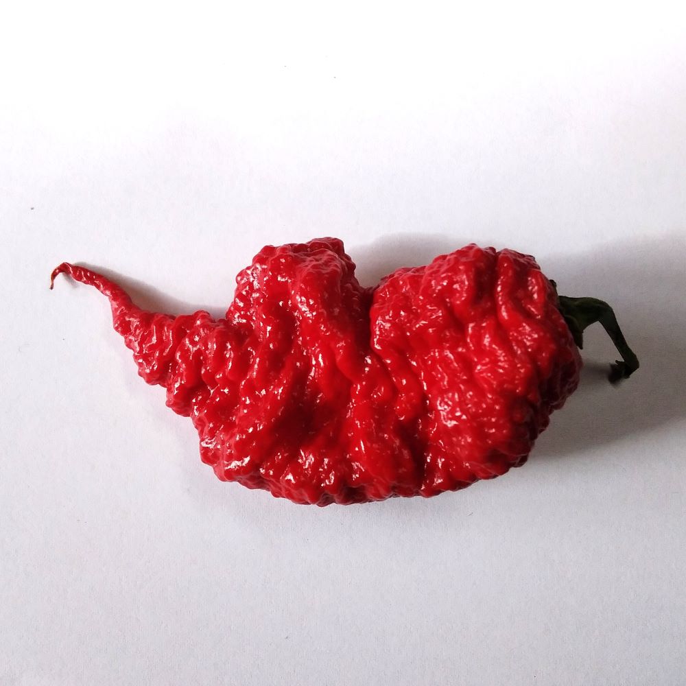 Seminţe Ardei - Primortalii Select