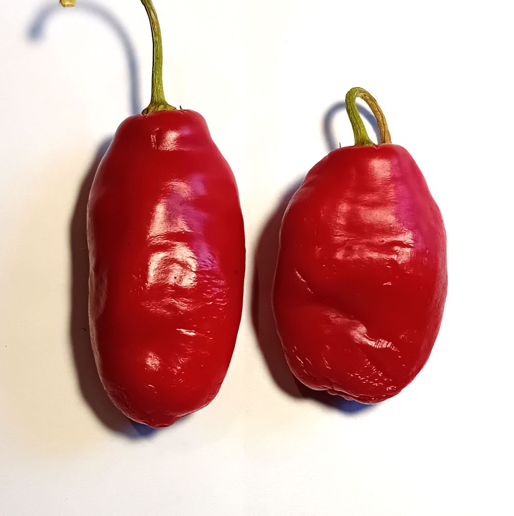 Seminţe Ardei - Rocoto Costa Rica Red